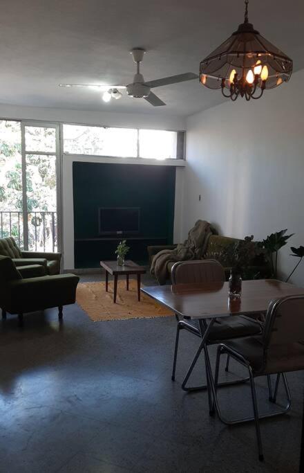 One-Bedroom Apartment photo 3
