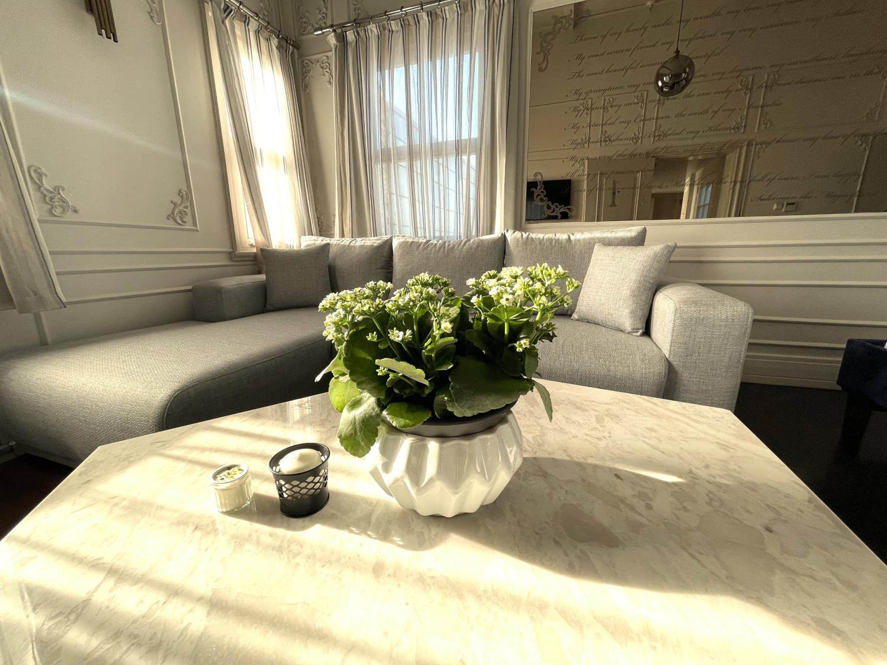 Penthouse Apartment photo 3