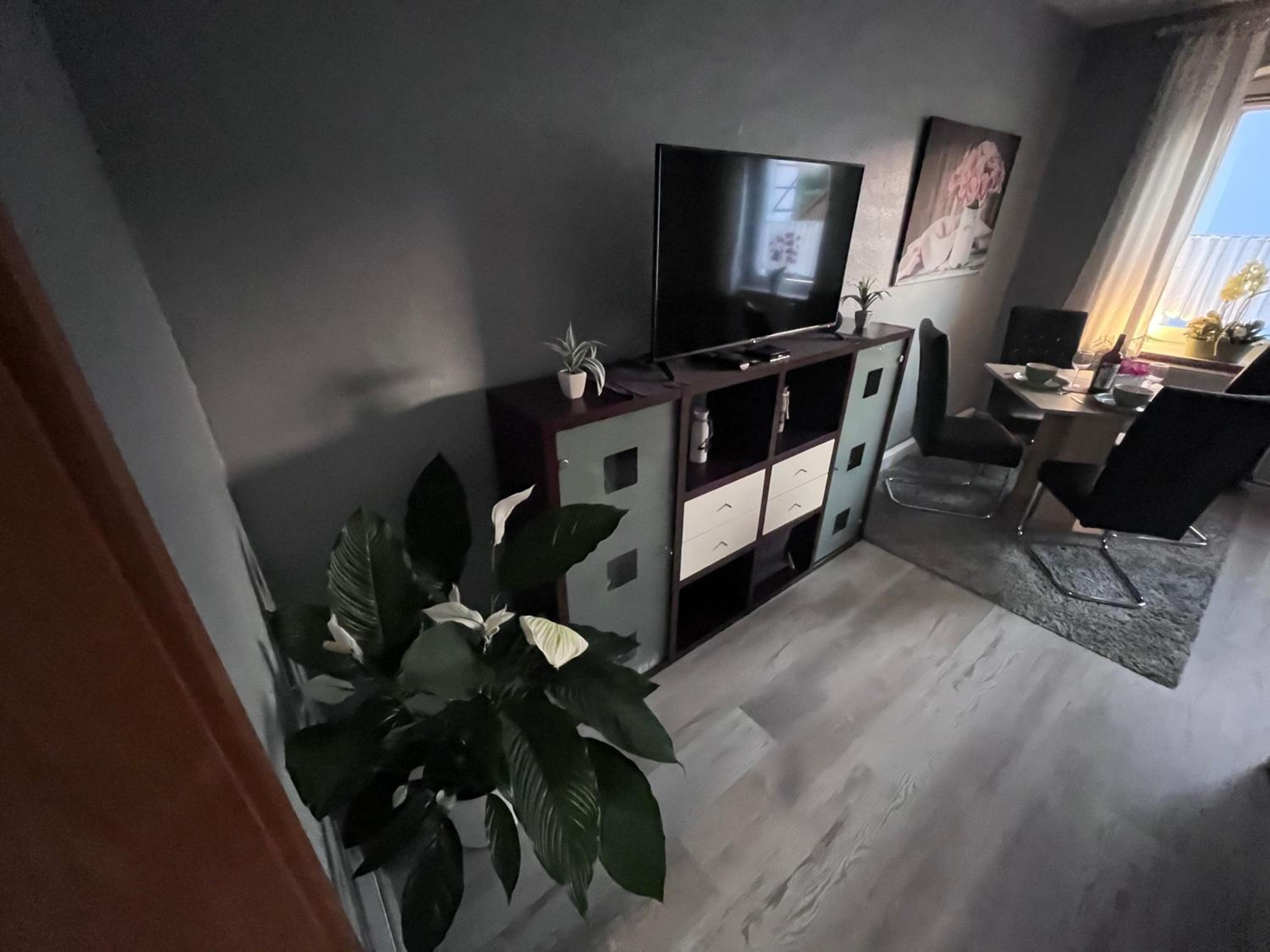 One-Bedroom Apartment with Shower