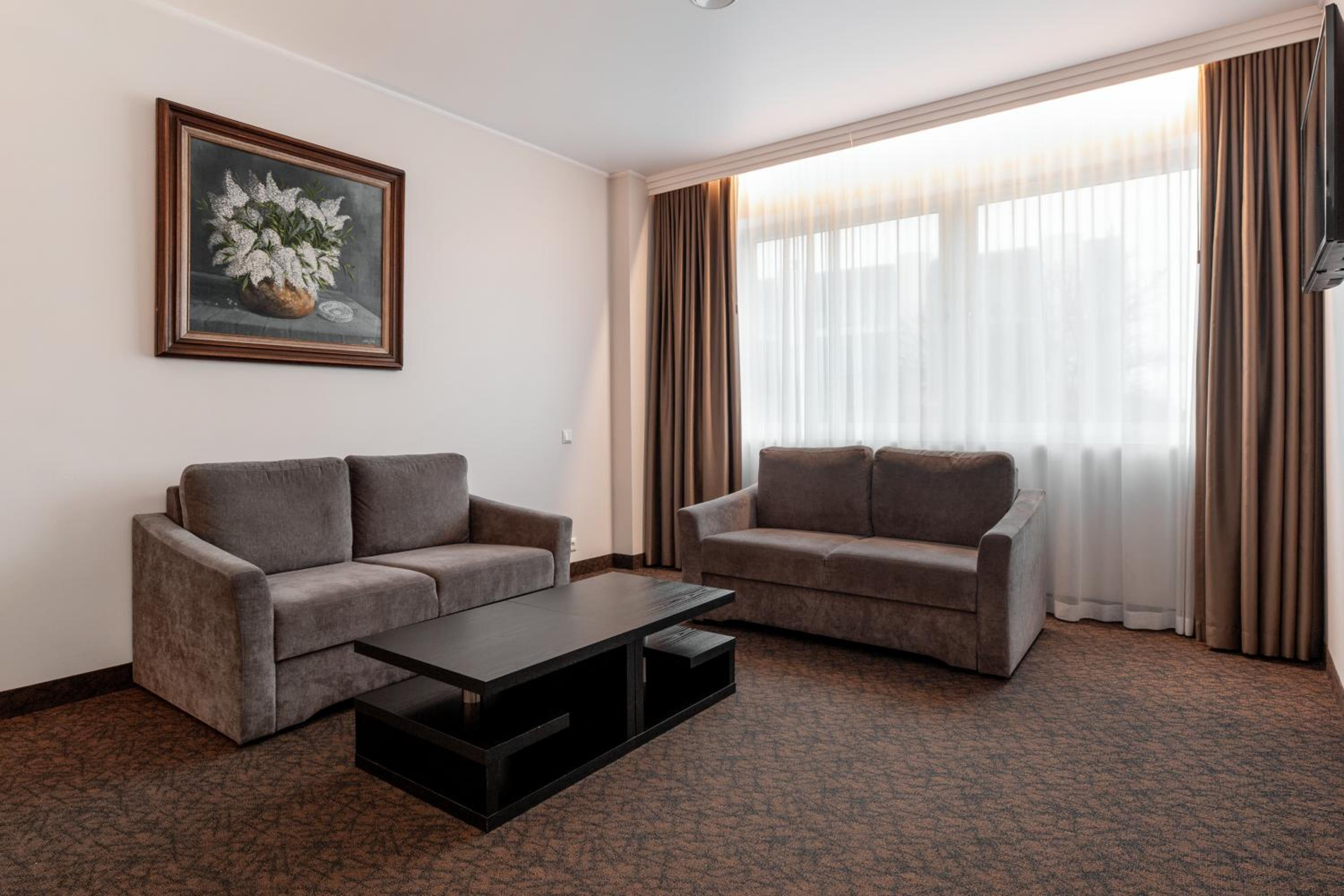 One-Bedroom Suite - Photo 3