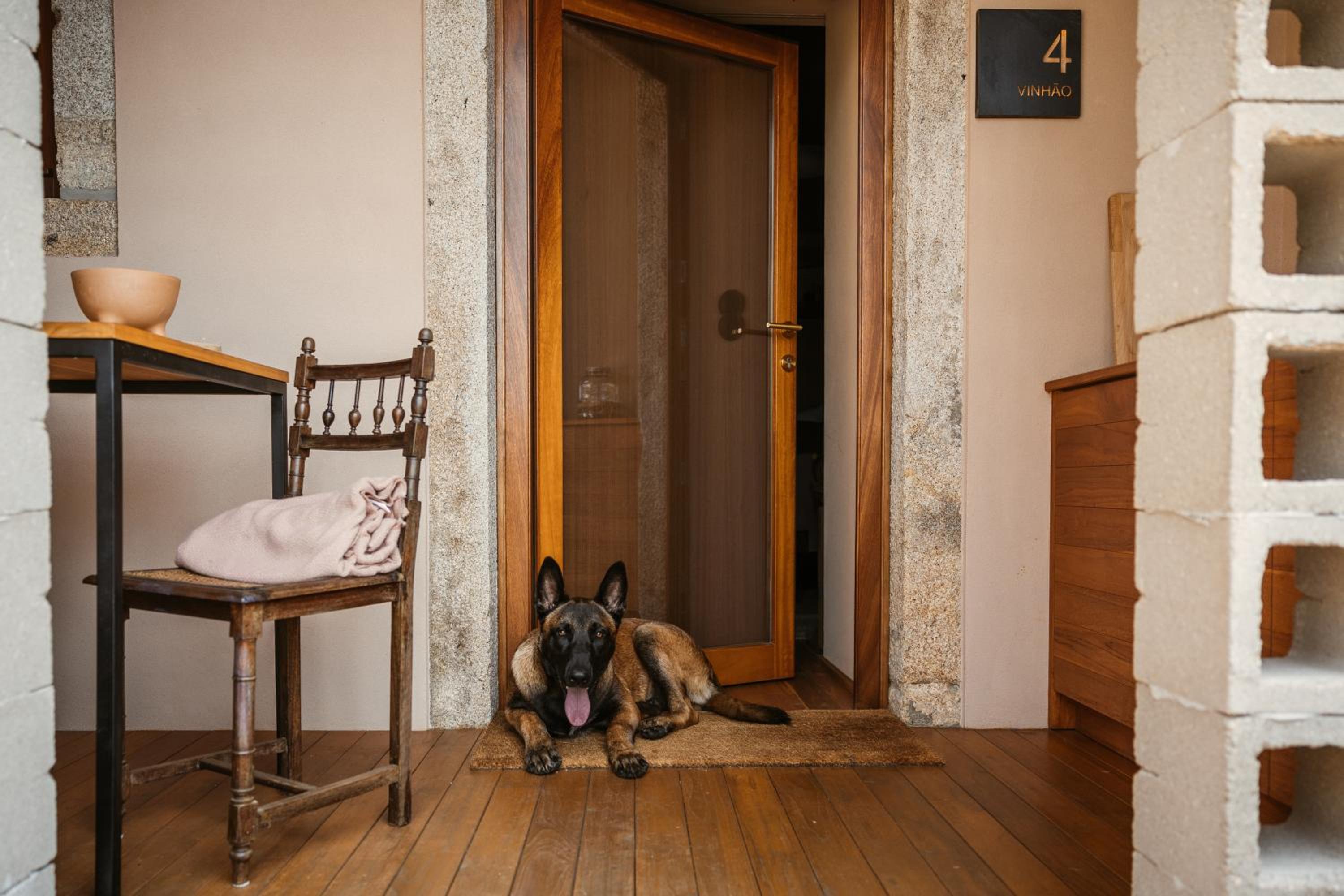 Superior Suite - Photo 18