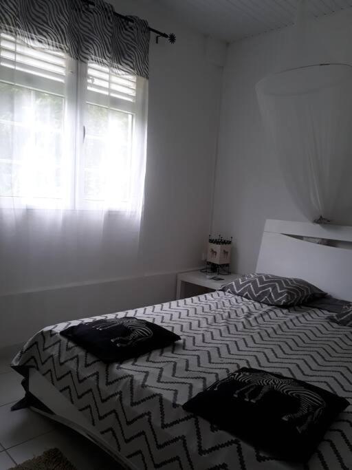 One-Bedroom House photo 3