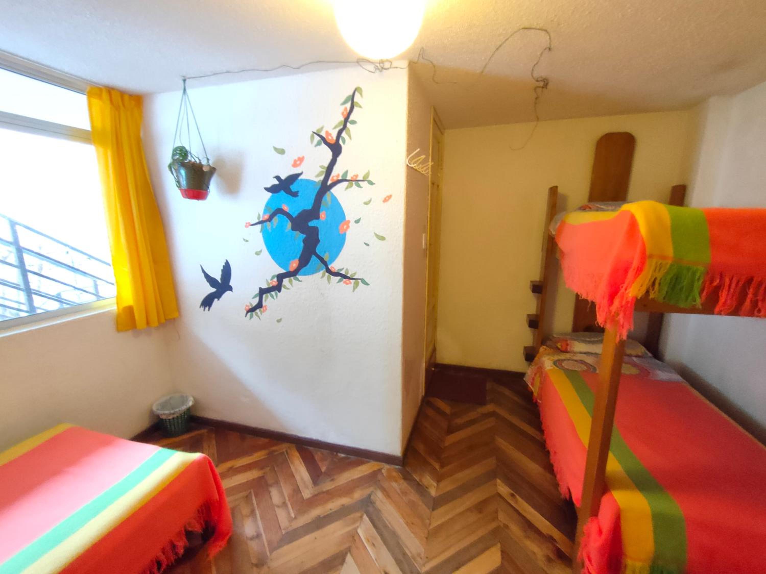 Single Bed In Dormitory Room