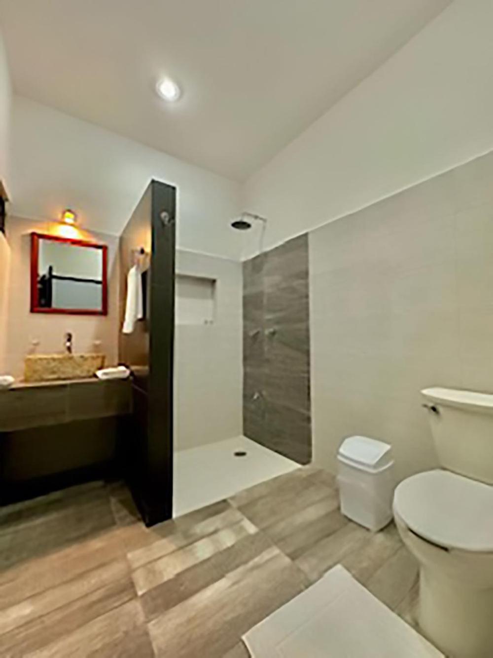 Deluxe Suite photo 3