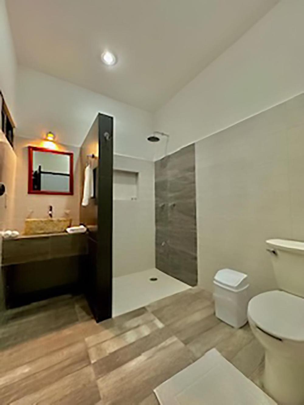 Deluxe Suite photo 2