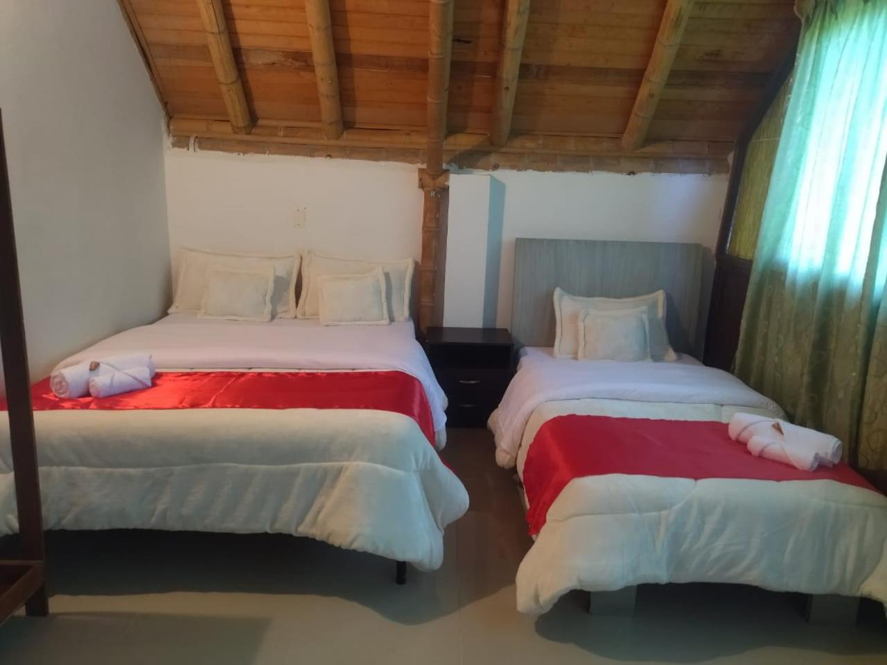 Double or Twin Room photo 1