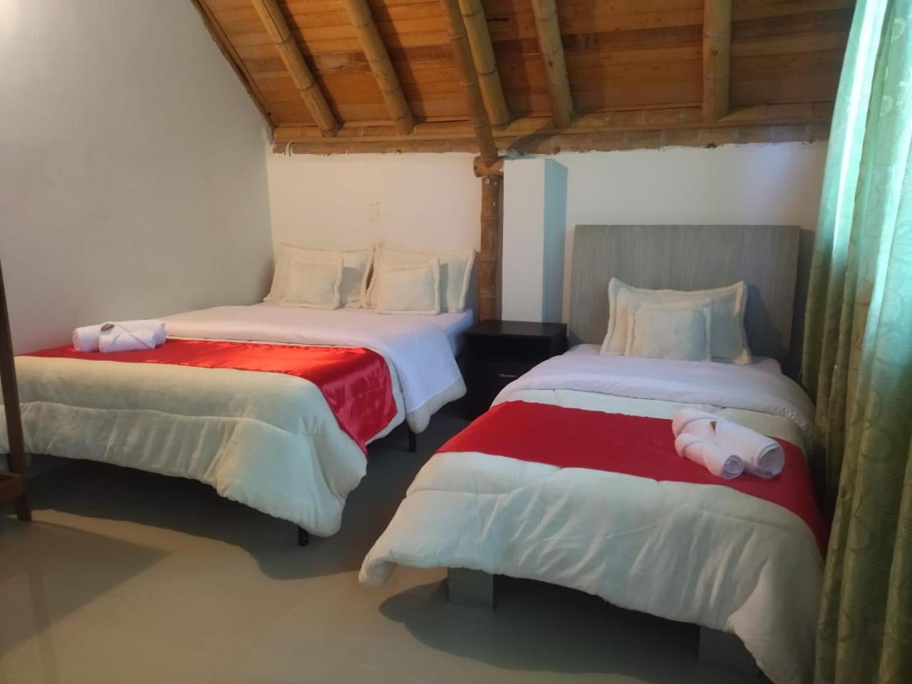 Double or Twin Room photo 2