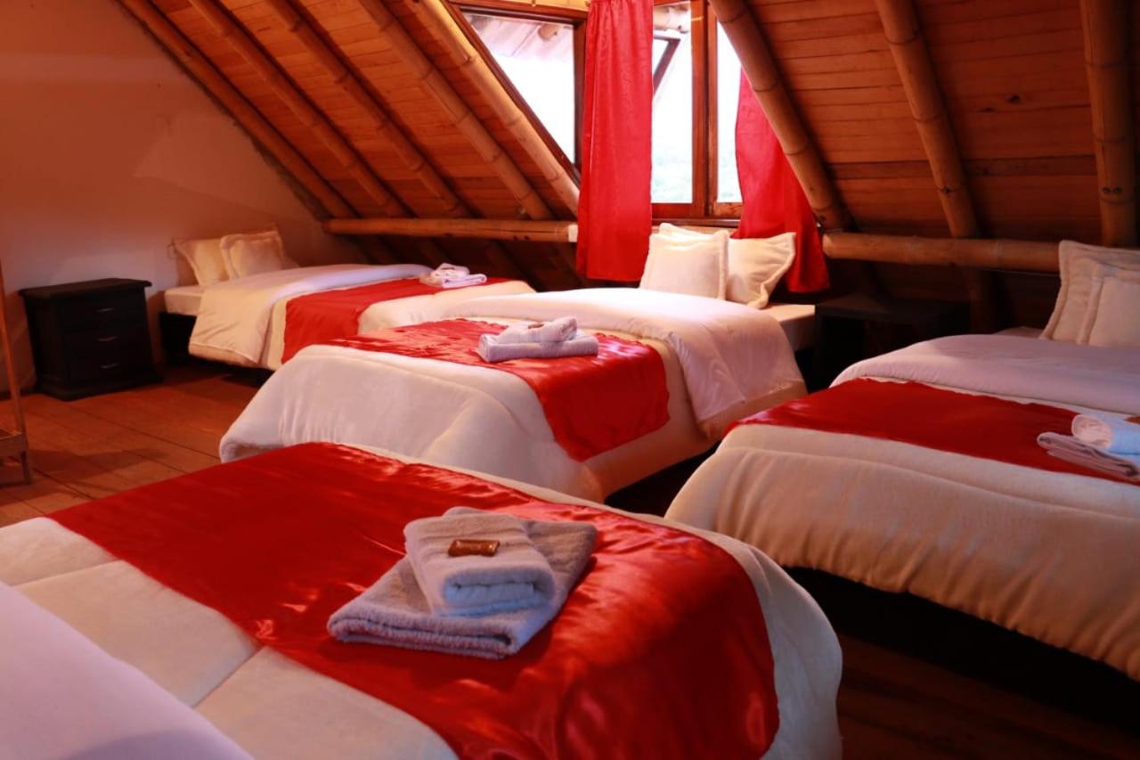 Quadruple Room photo 1