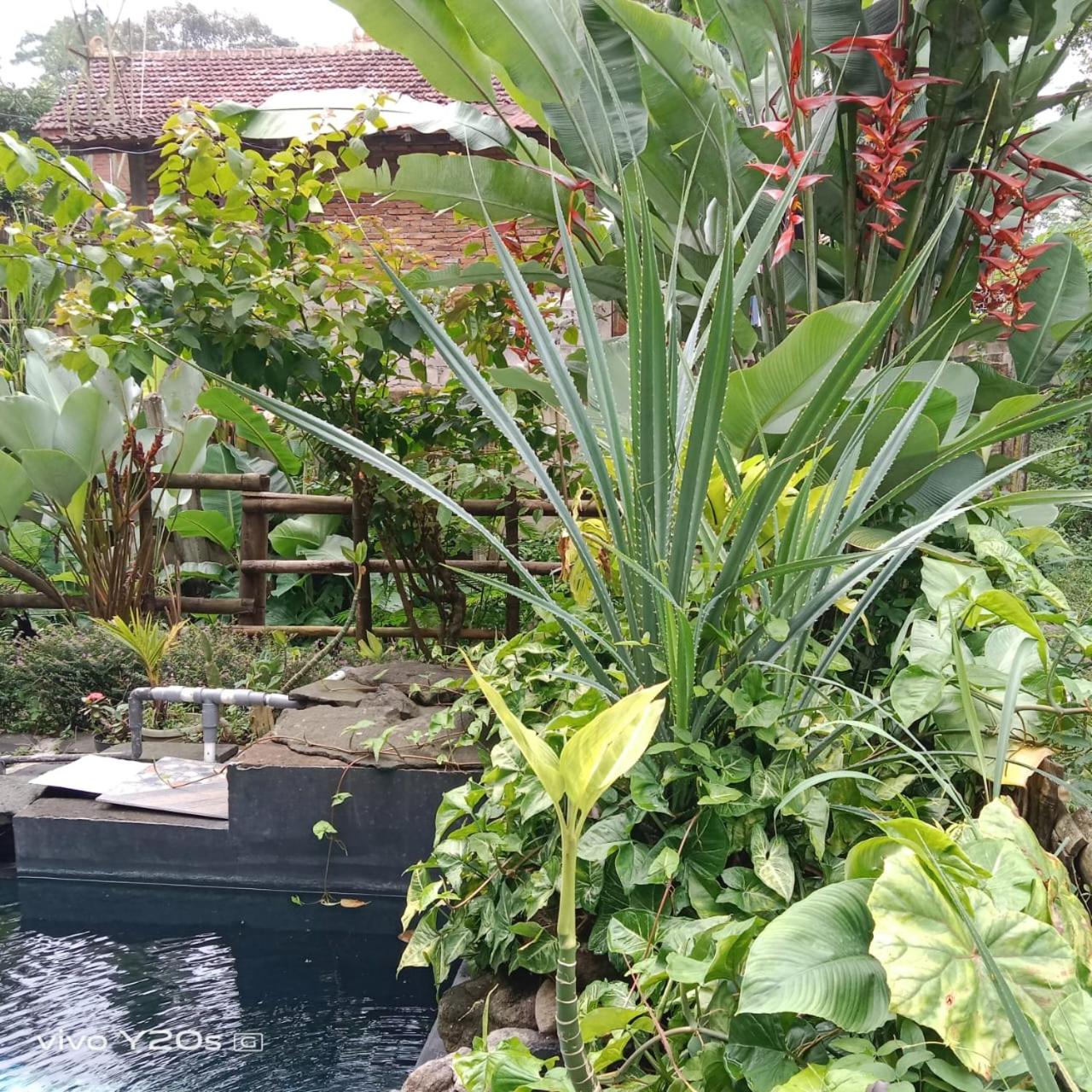 Villa with Private Pool - Photo 7