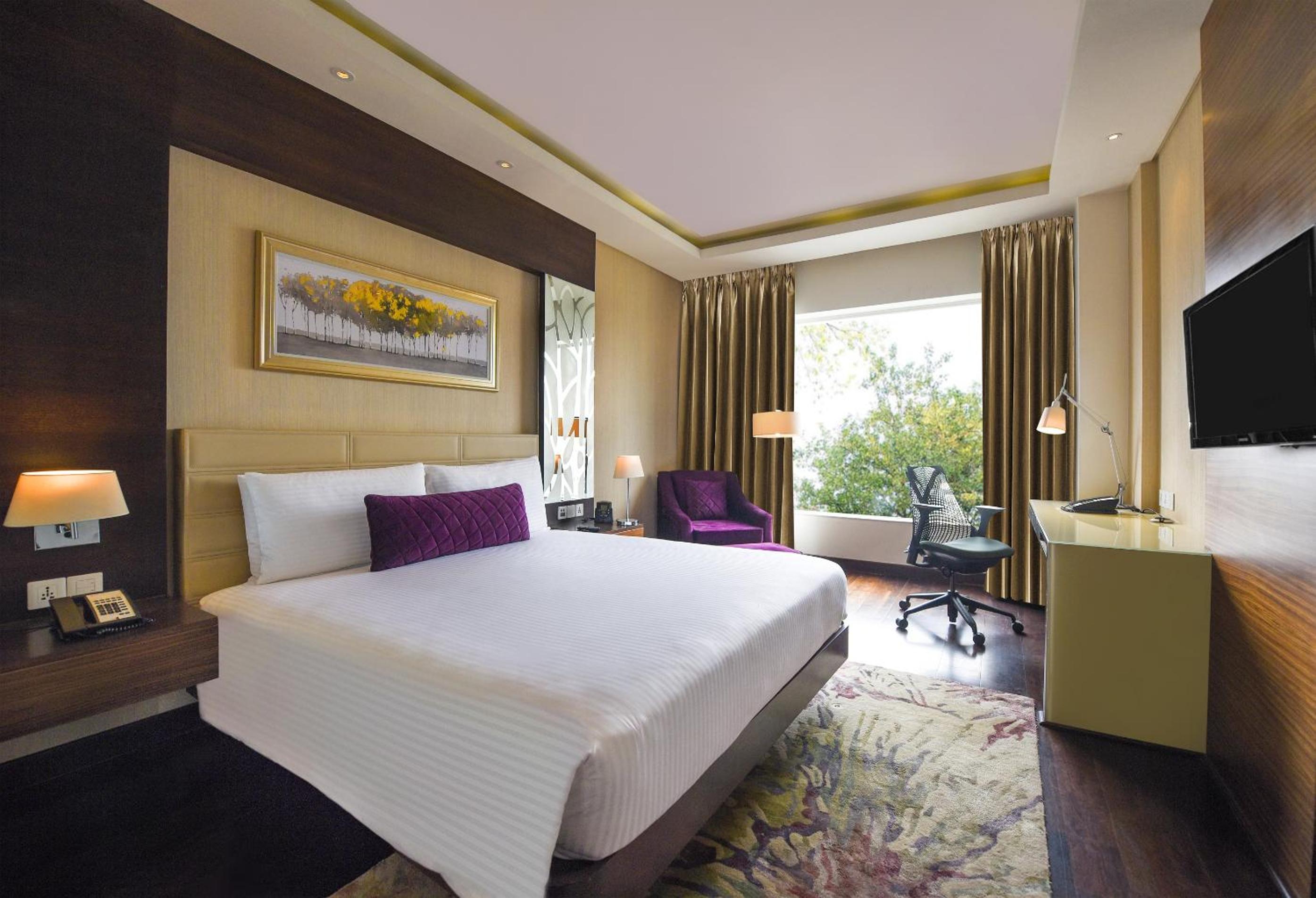 Deluxe King Room Deluxe King Room