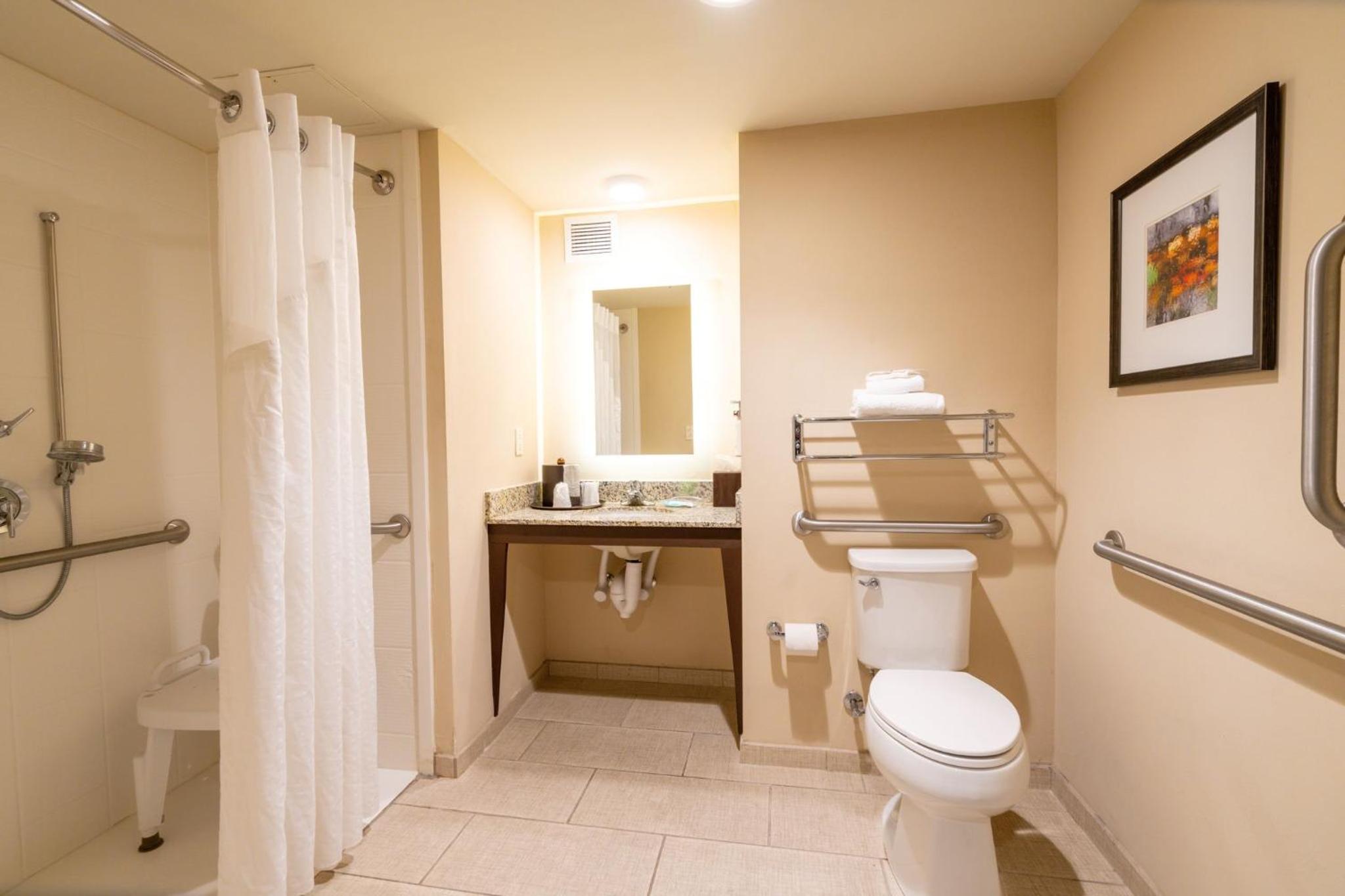 King Room - Mobility Access/Hearing Accessible photo 1