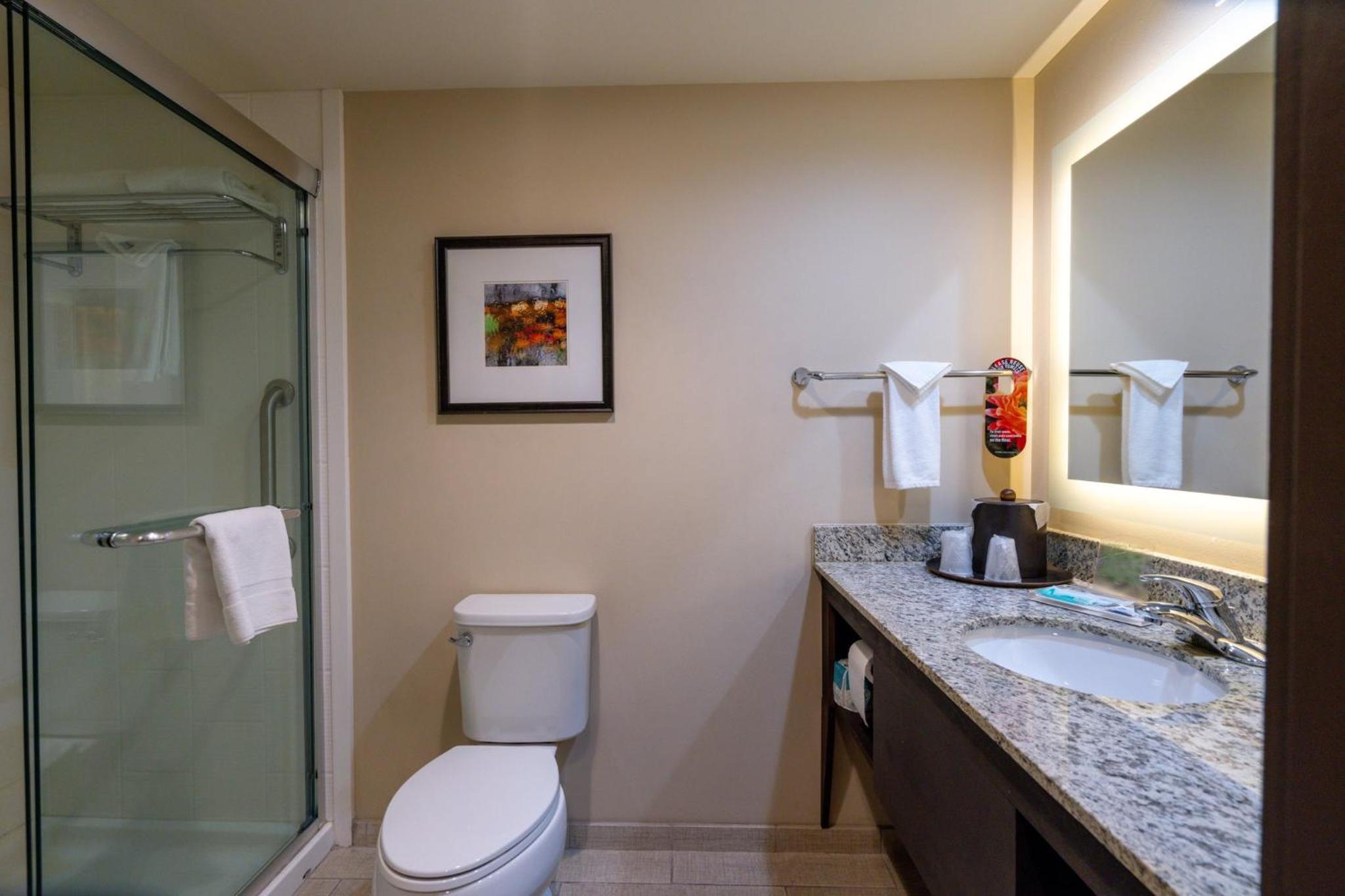 Standard King Room with Walk-In Shower photo 2