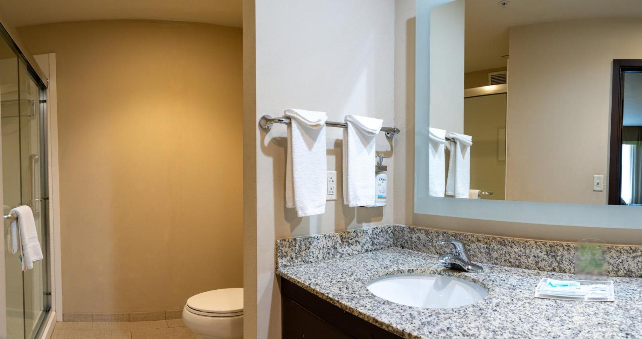 Standard King Room with Walk-In Shower photo 1
