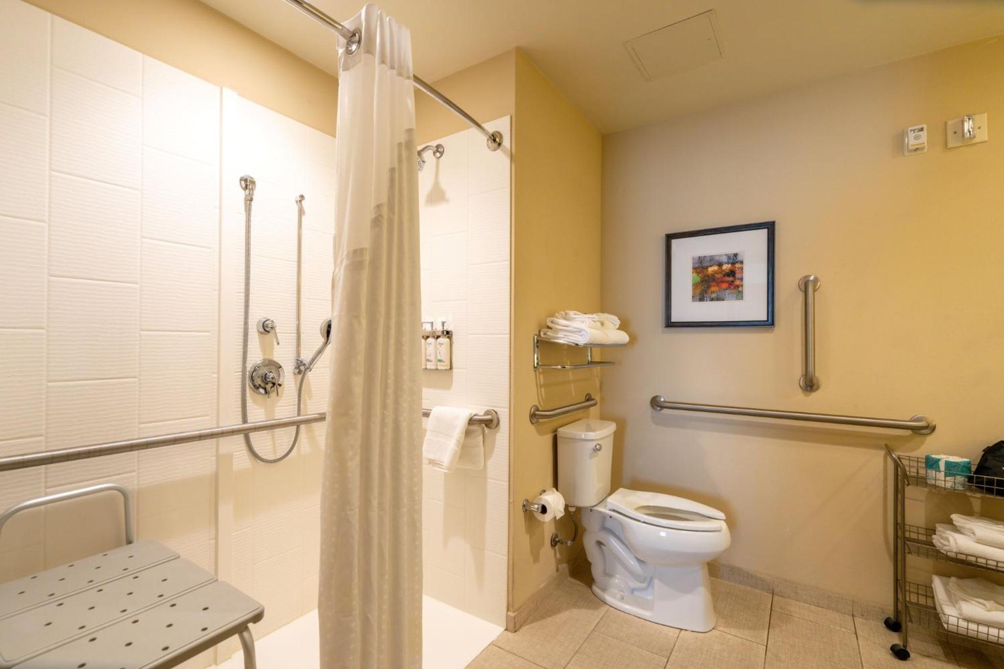 King Room - Mobility Access/Hearing Accessible photo 2