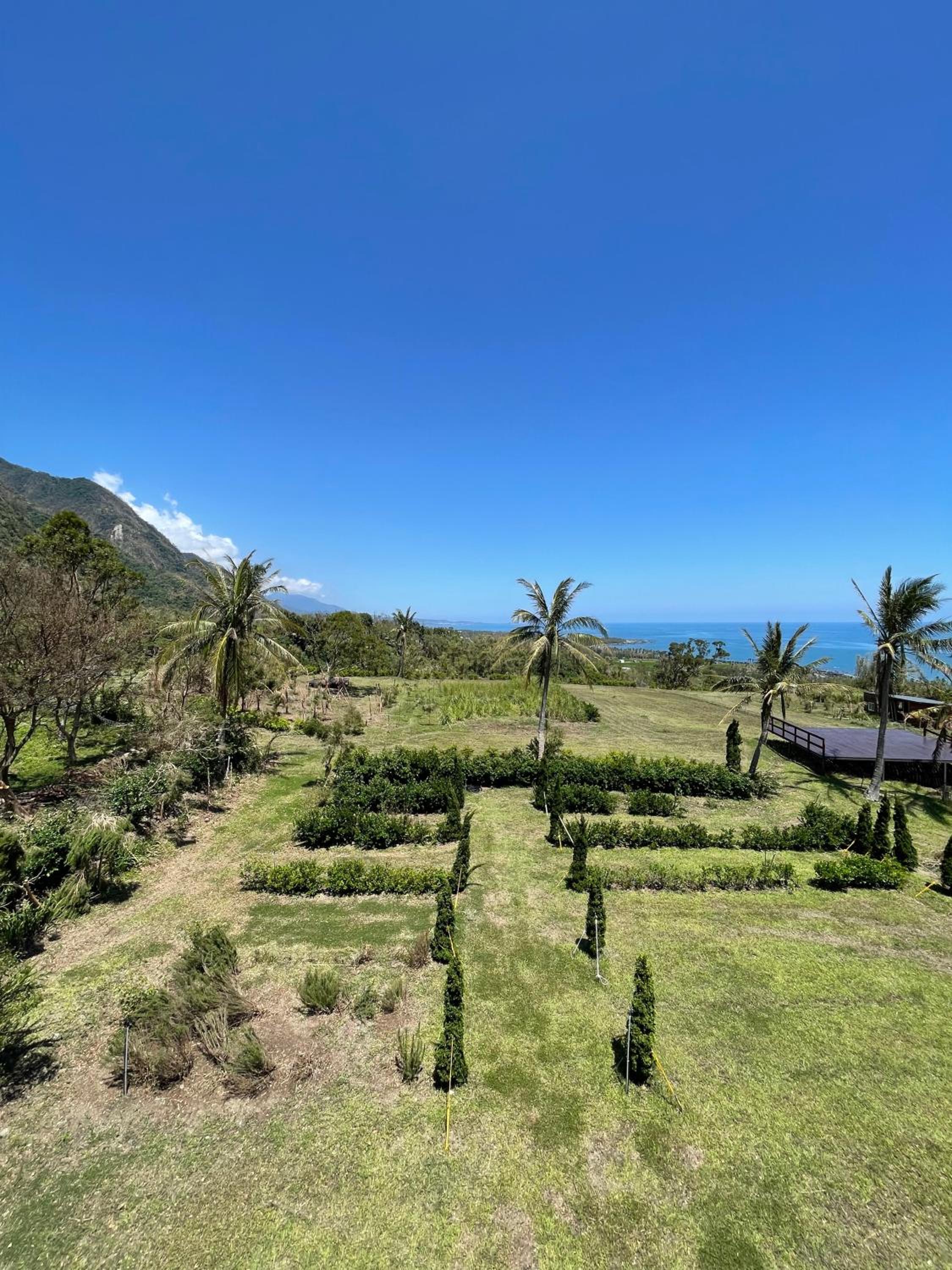 Double Room with Balcony and Sea View photo 3