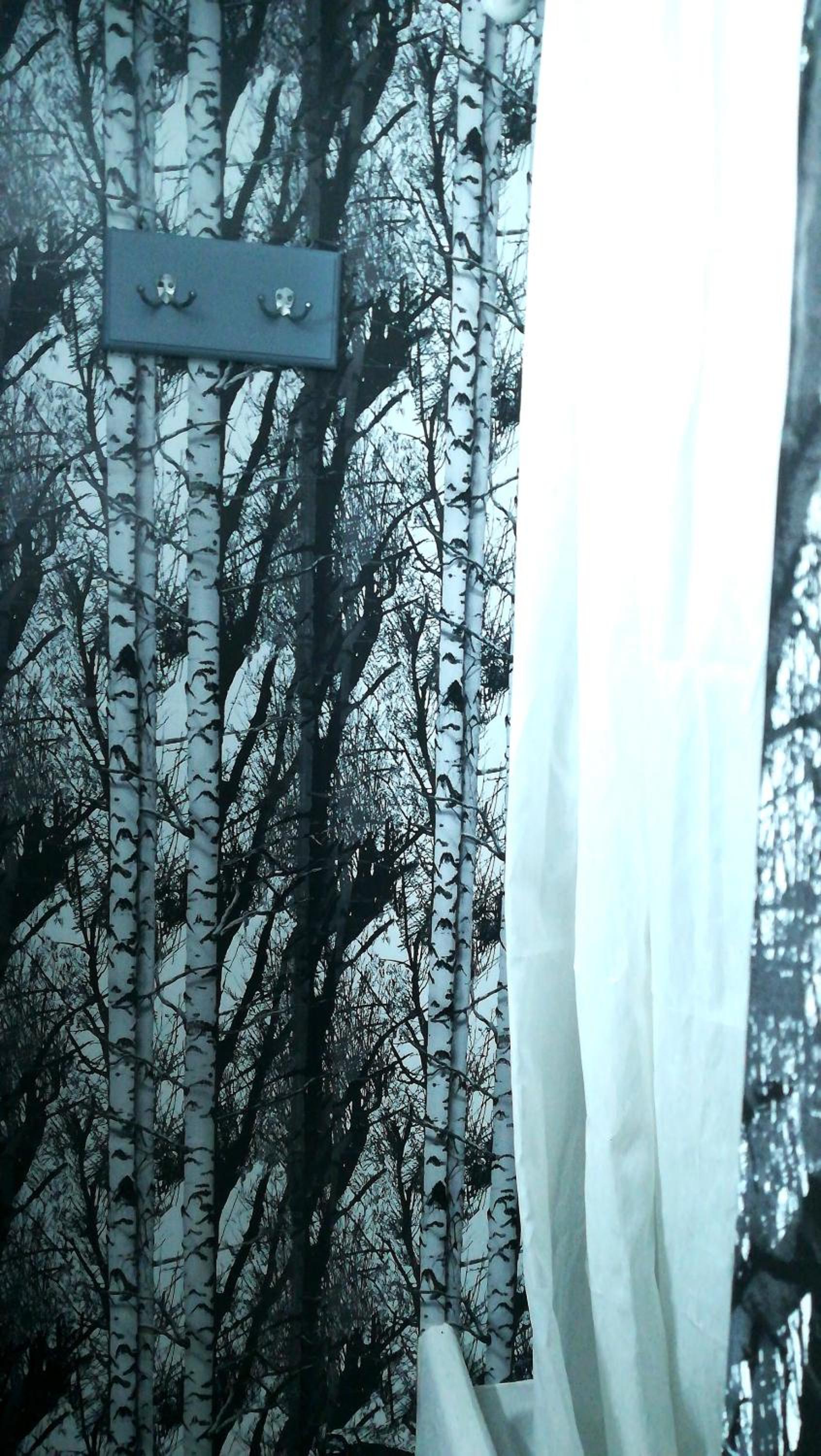 Studio - Split Level - Photo 12