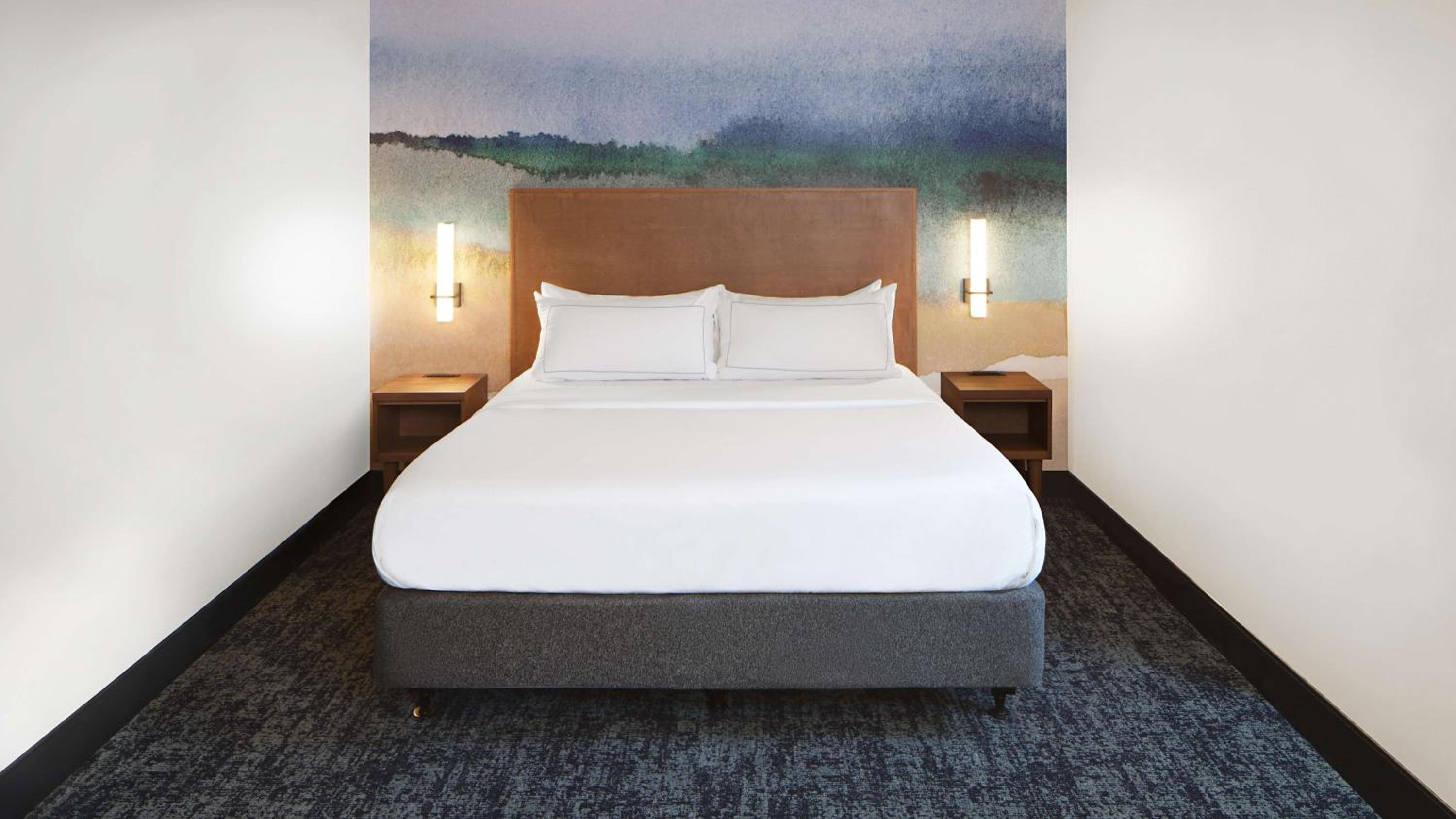 King Studio Suite - Photo 1