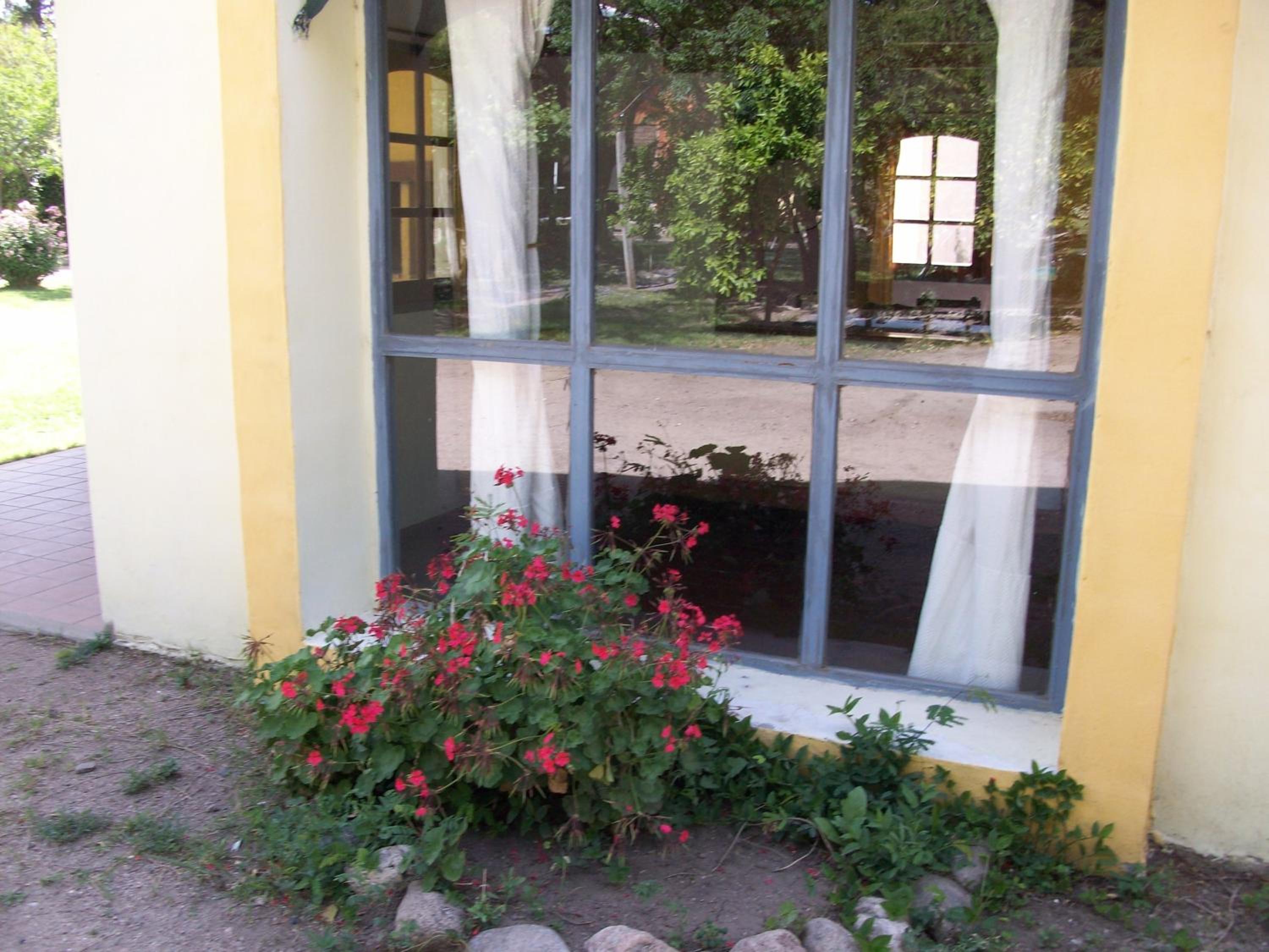 Apartment - Split Level photo 2