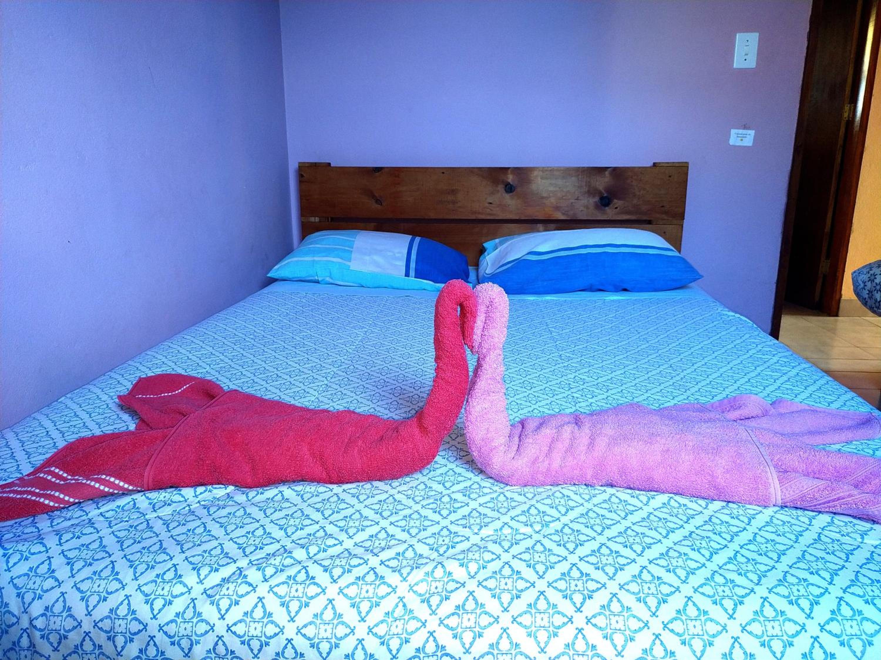 Suite photo 1