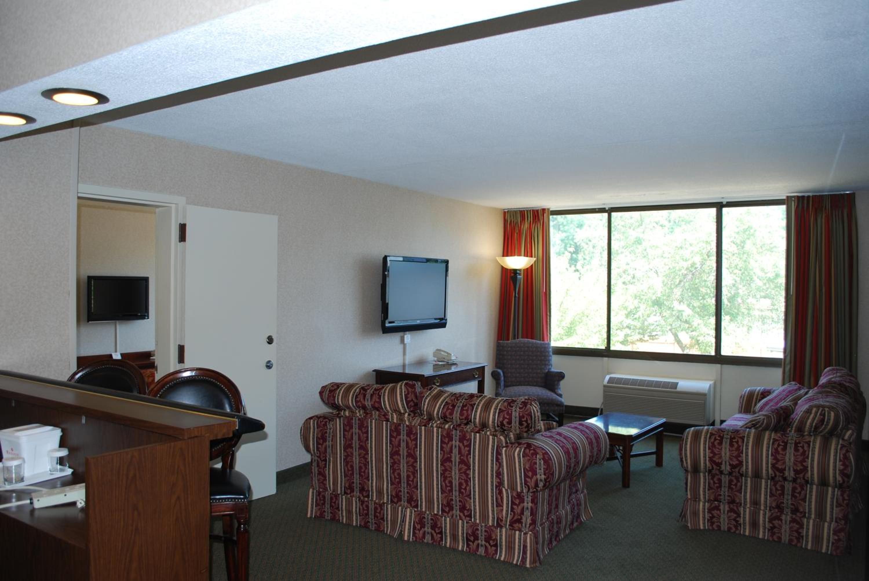 Deluxe King Suite photo 3