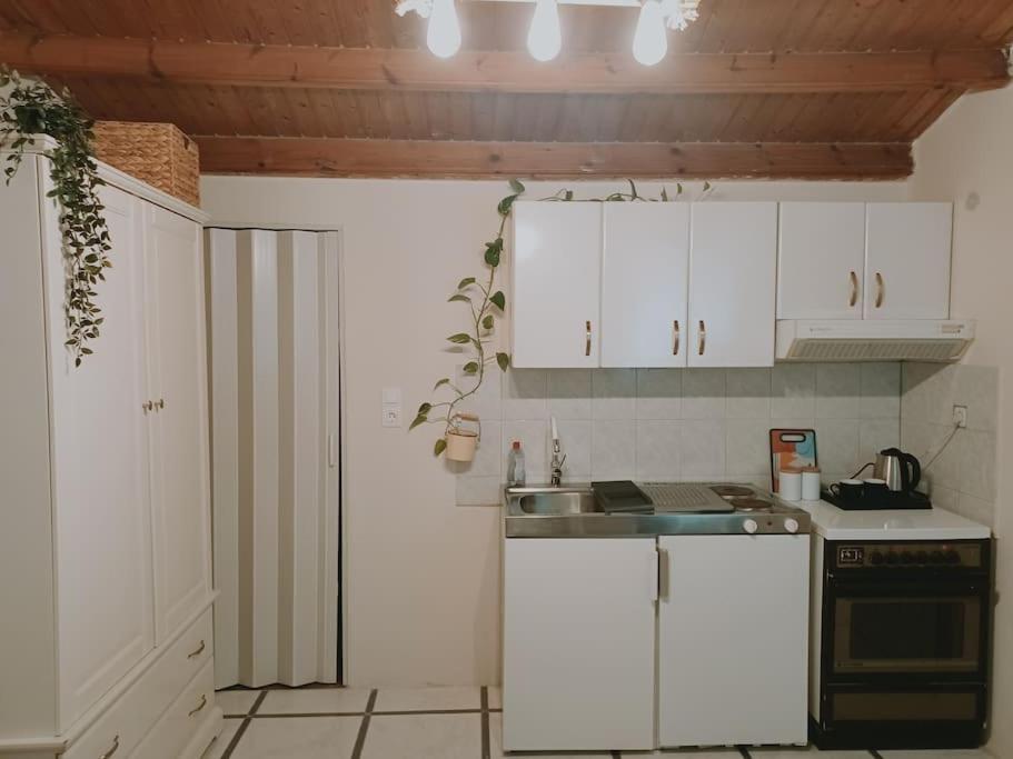 One-Bedroom Apartment photo 3