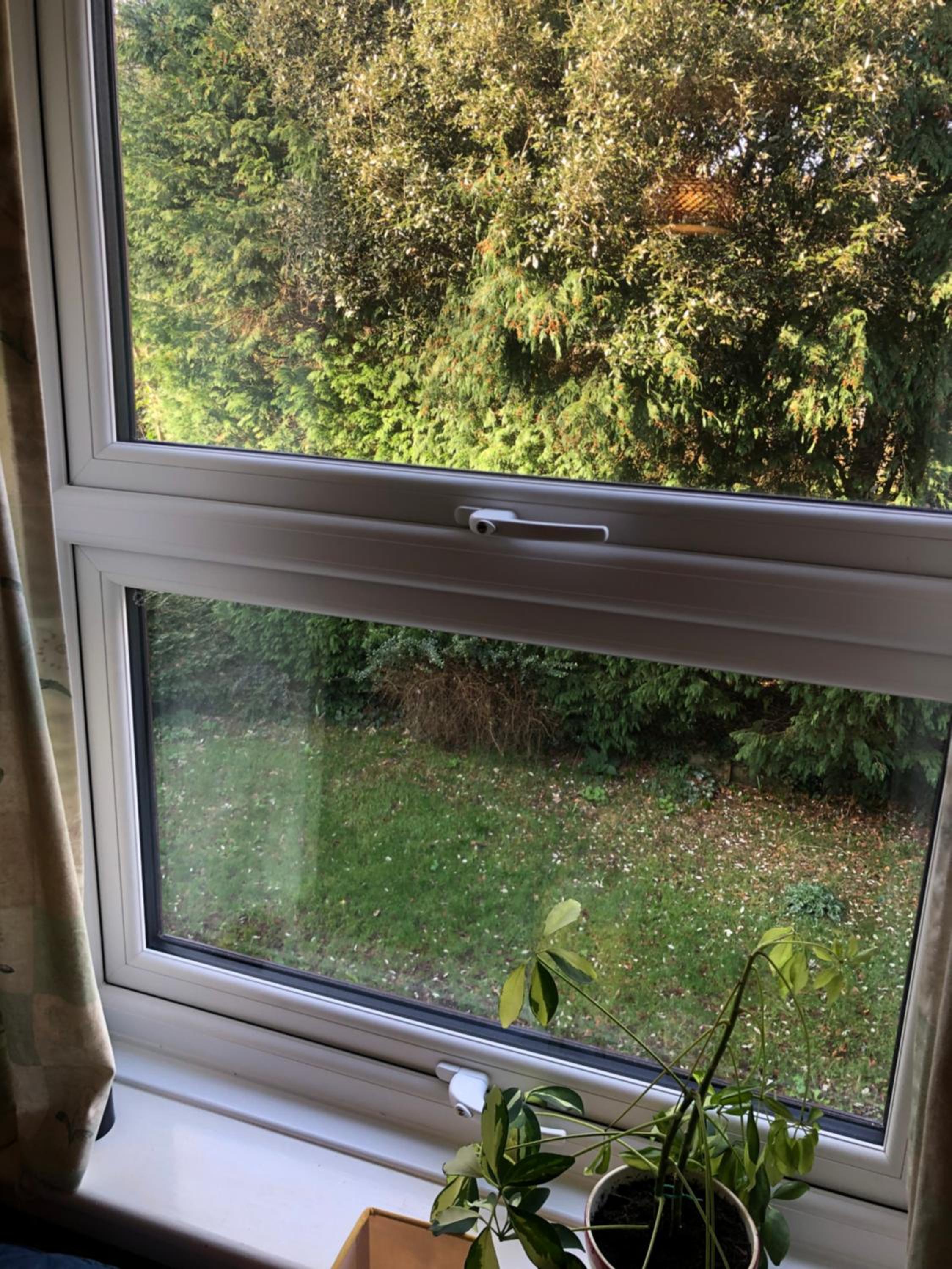Double Room with Garden View photo 2