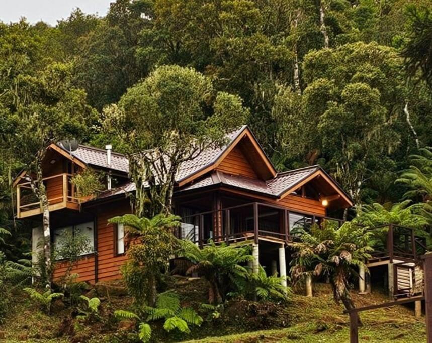 Two-Bedroom Chalet photo 2