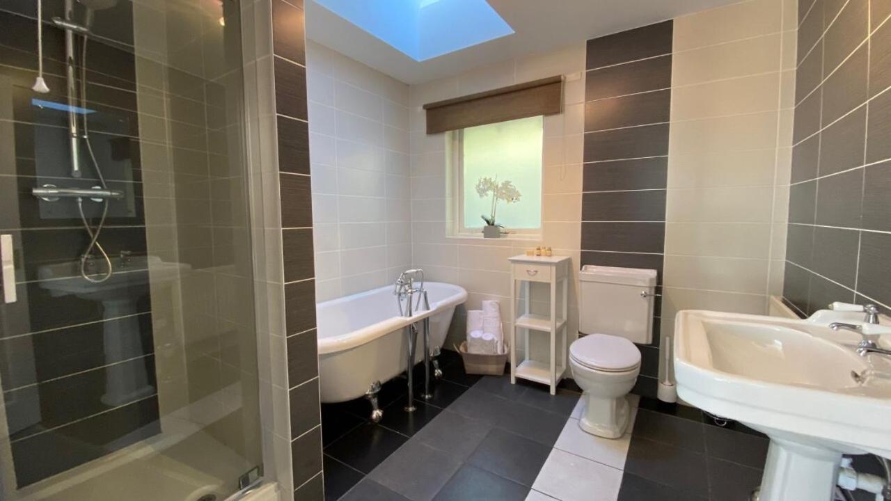Superior King Room photo 2