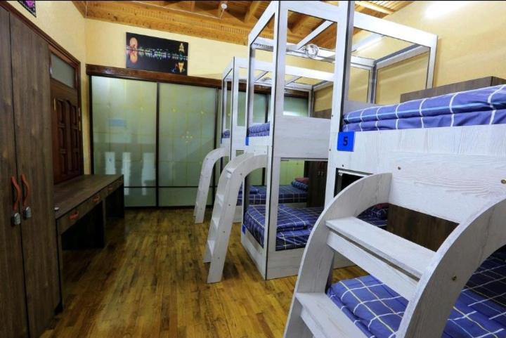 Mixed Dormitory Room photo 2