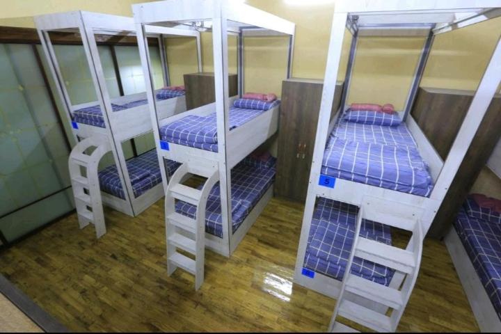 Mixed Dormitory Room photo 3