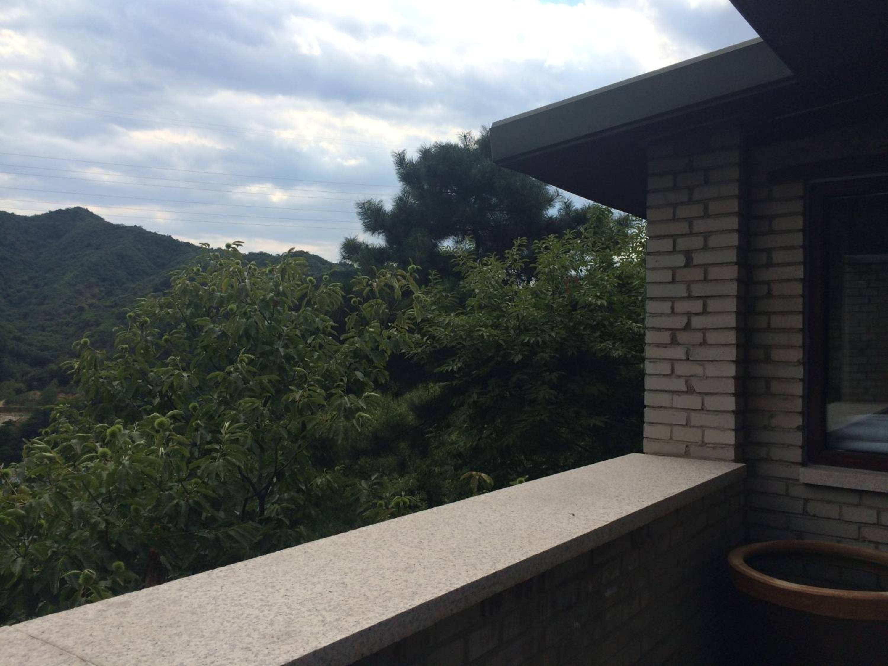 Studio with Terrace photo 2
