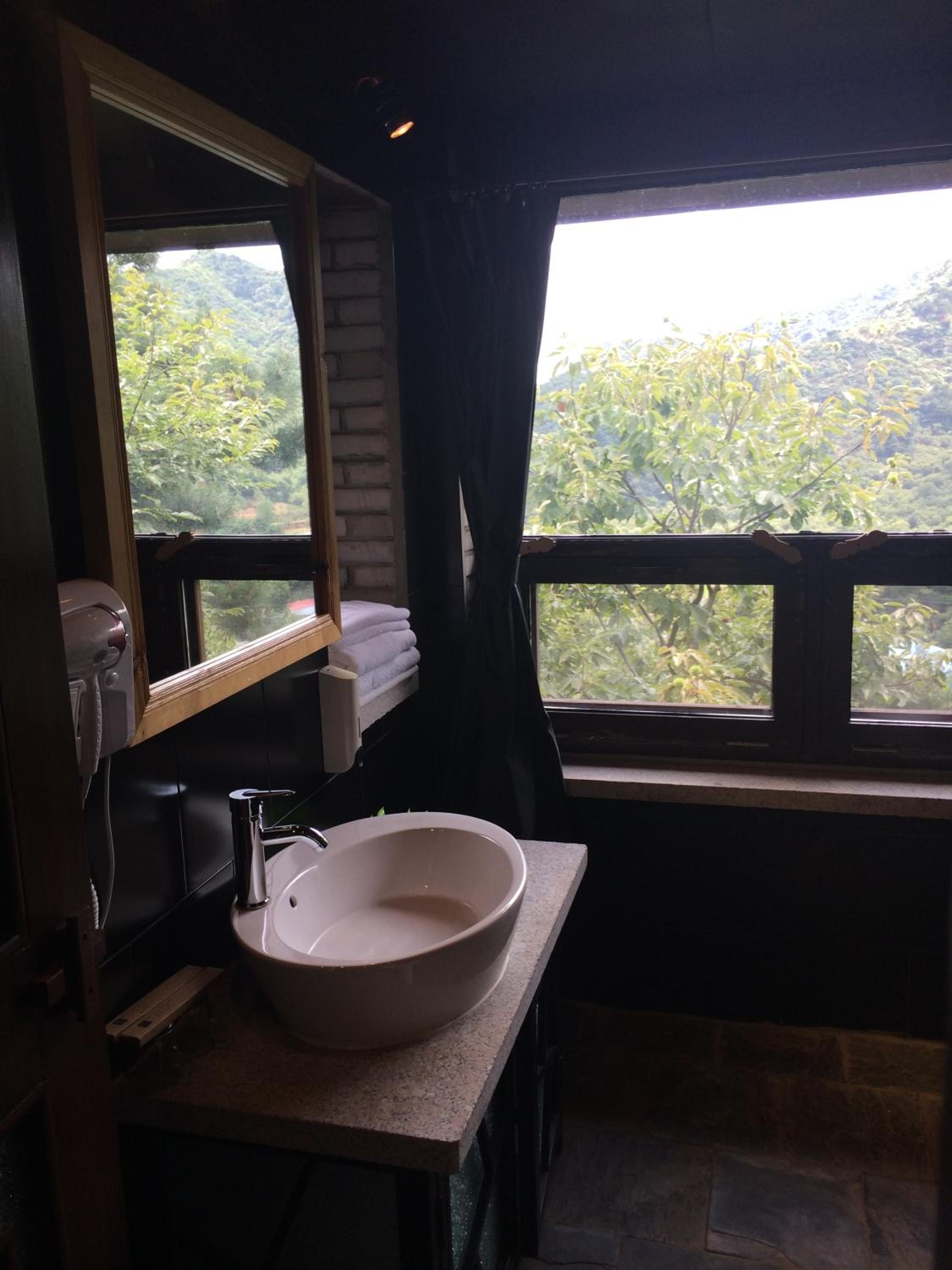 Studio with Terrace photo 3