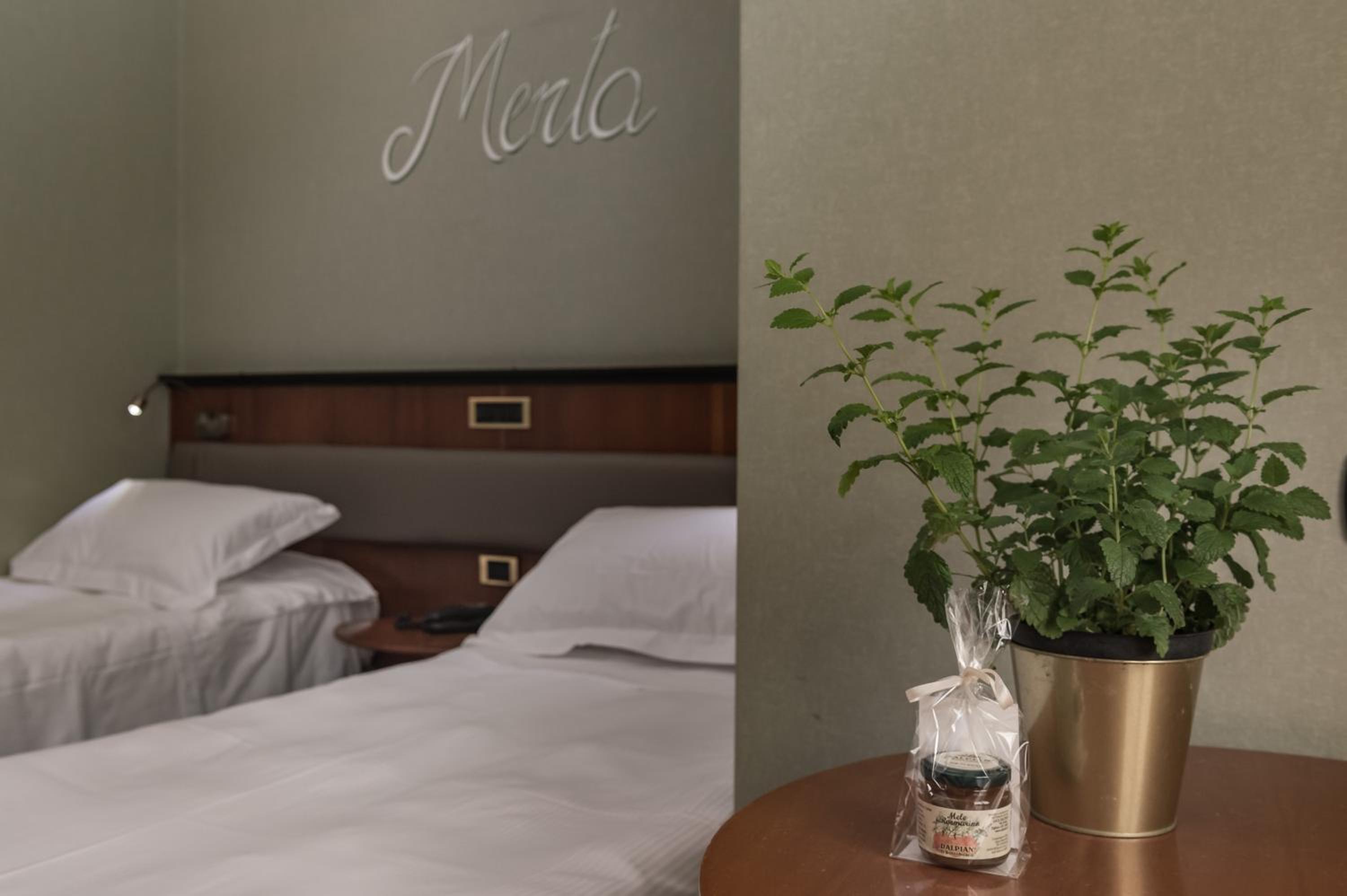 Double or Twin Room - Photo 2