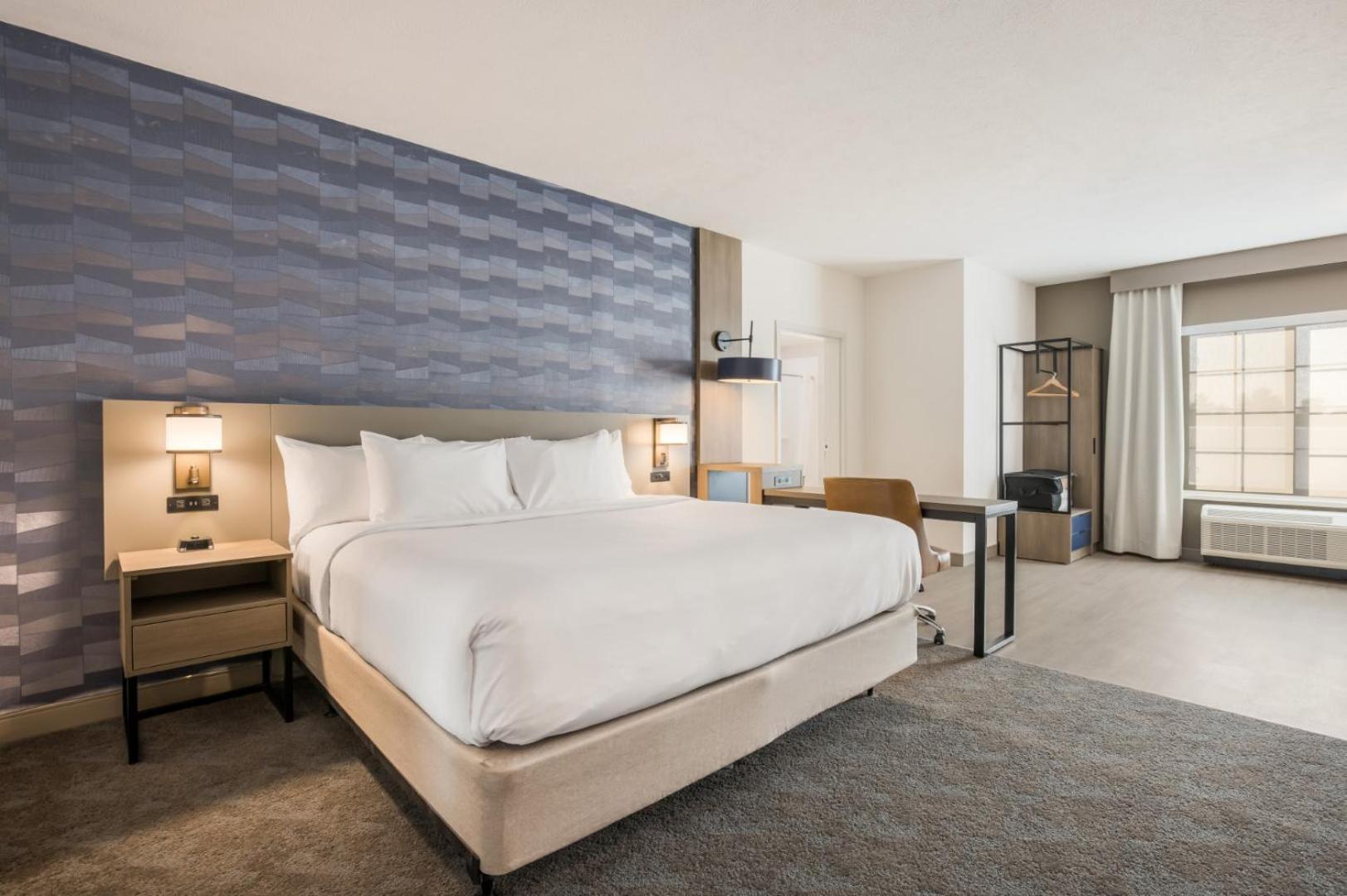 King Suite with Sofabed - Accessible/Non Smoking/No Pets Allowed - Photo 1
