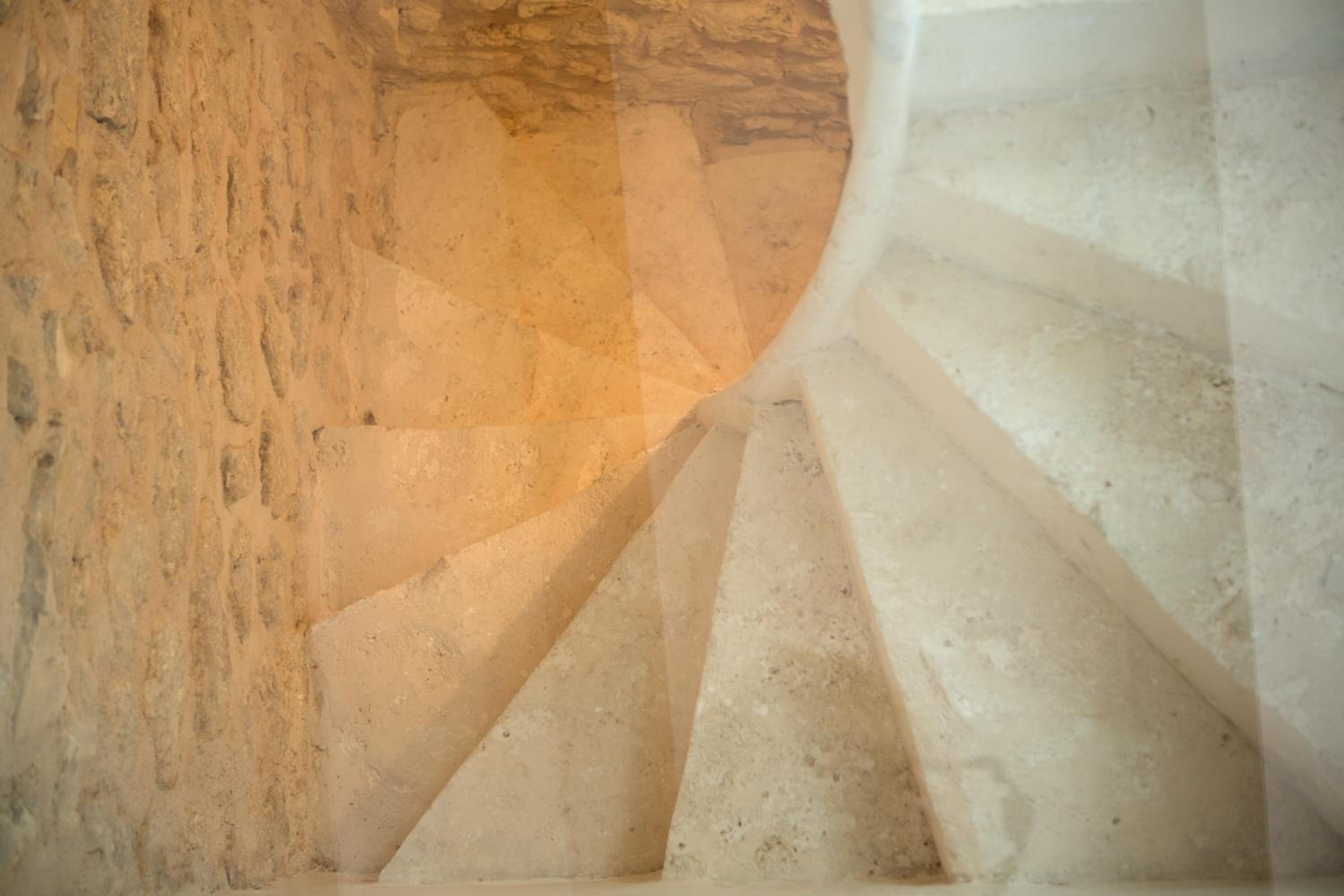 Suite - Photo 8