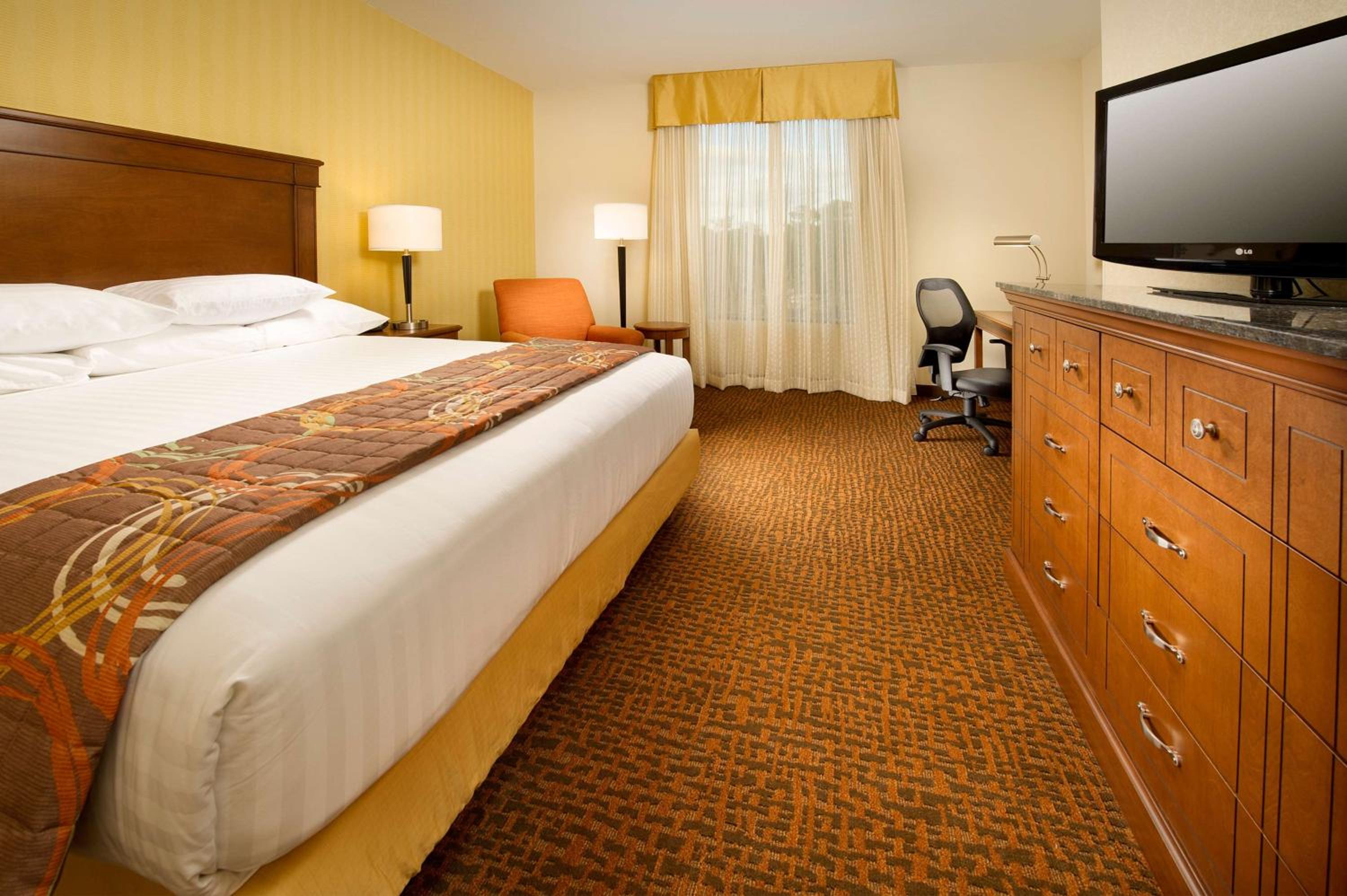 Superior King Room photo 1