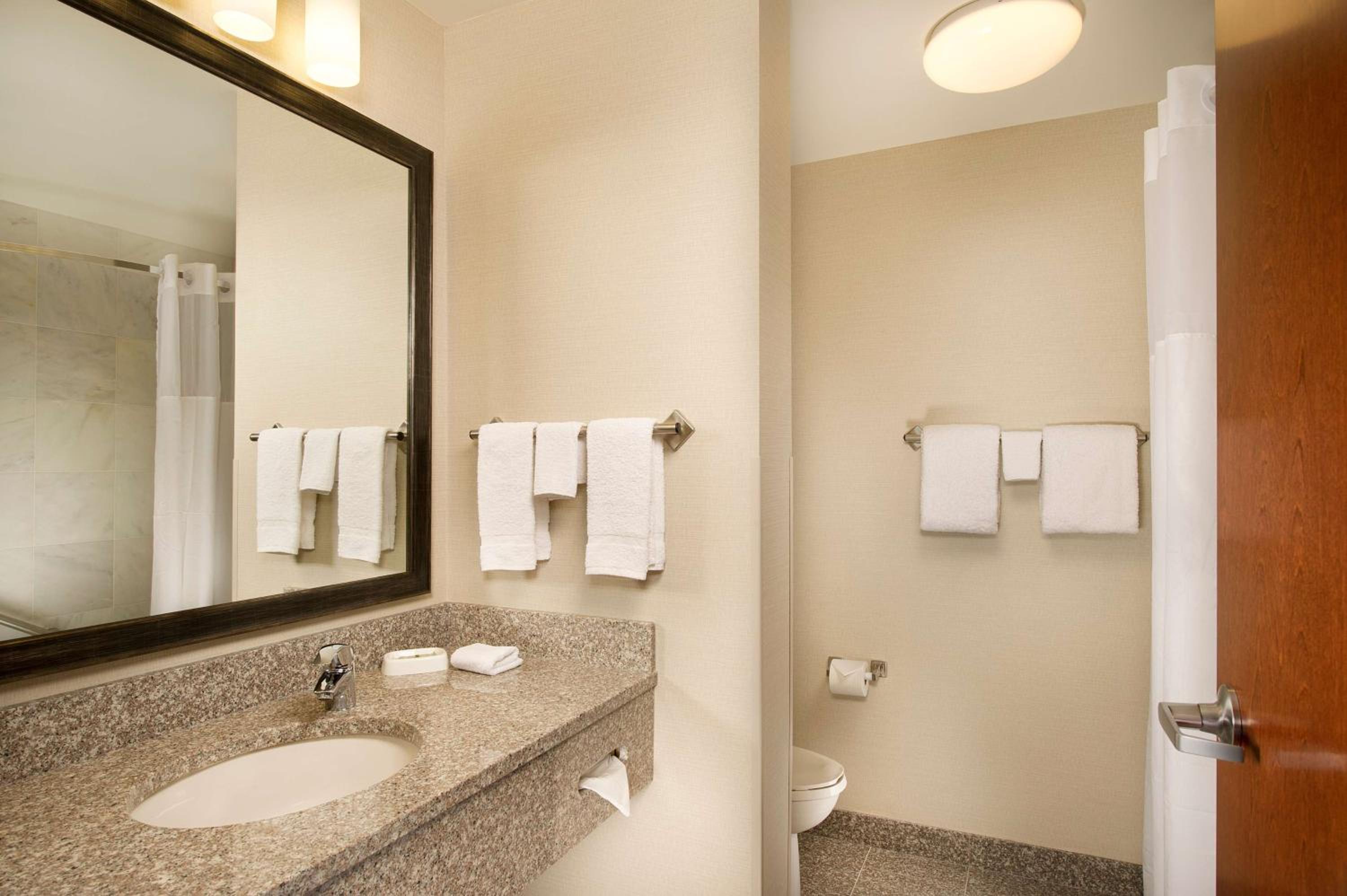 Queen Suite with Sofa Bed - Accessible, Tub photo 3
