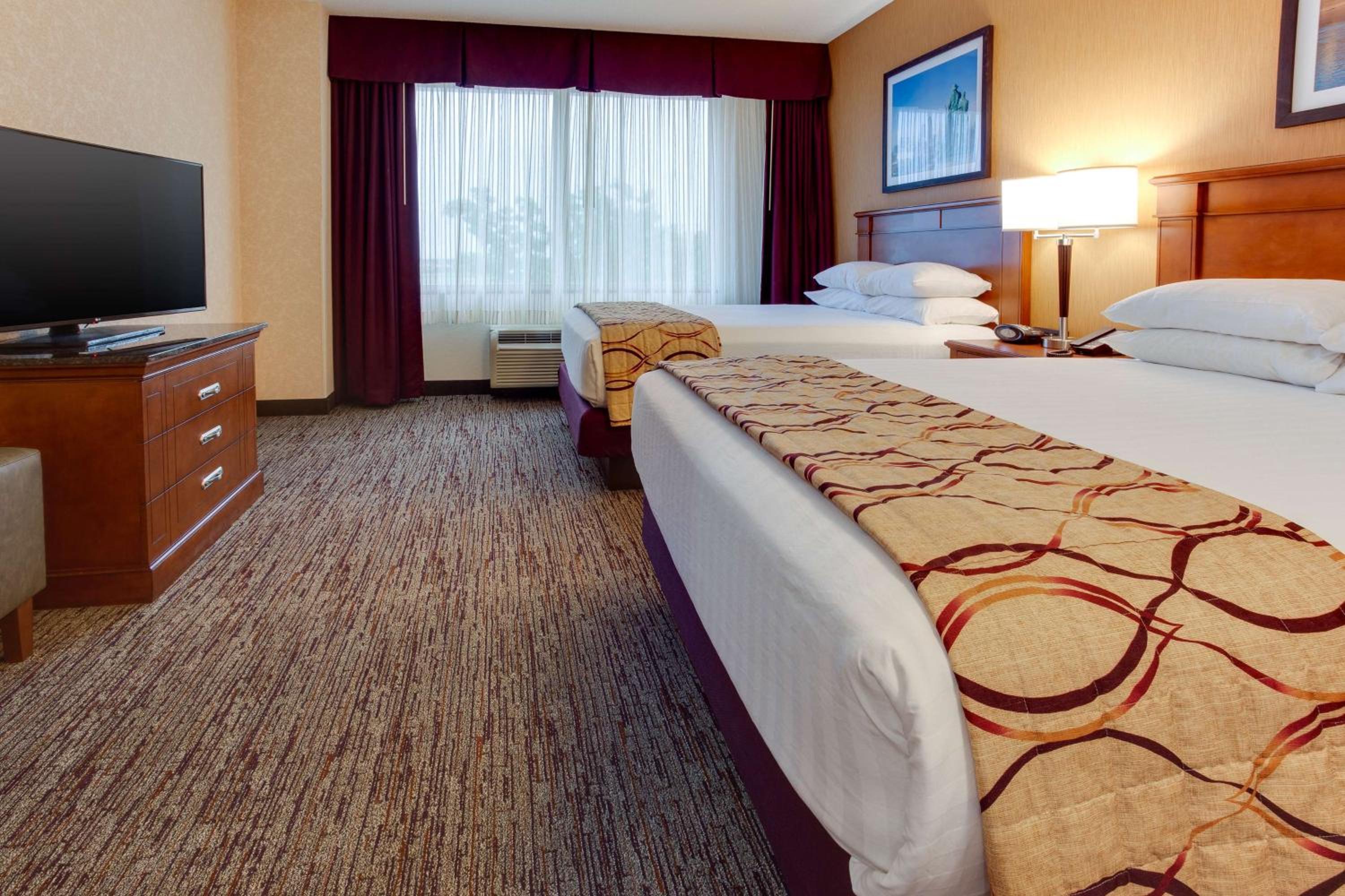 Queen Suite with Sofa Bed photo 1