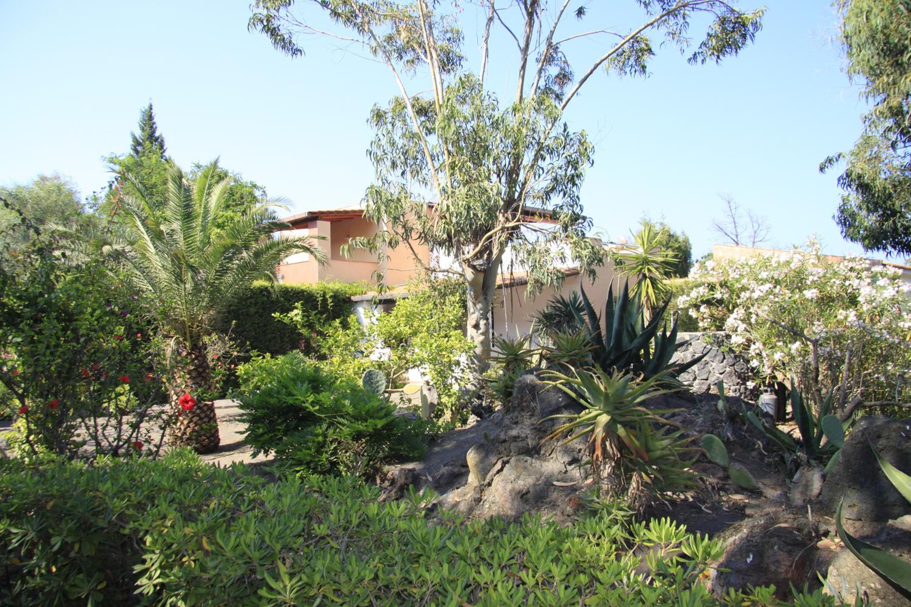 Studio with Garden View - Photo 3