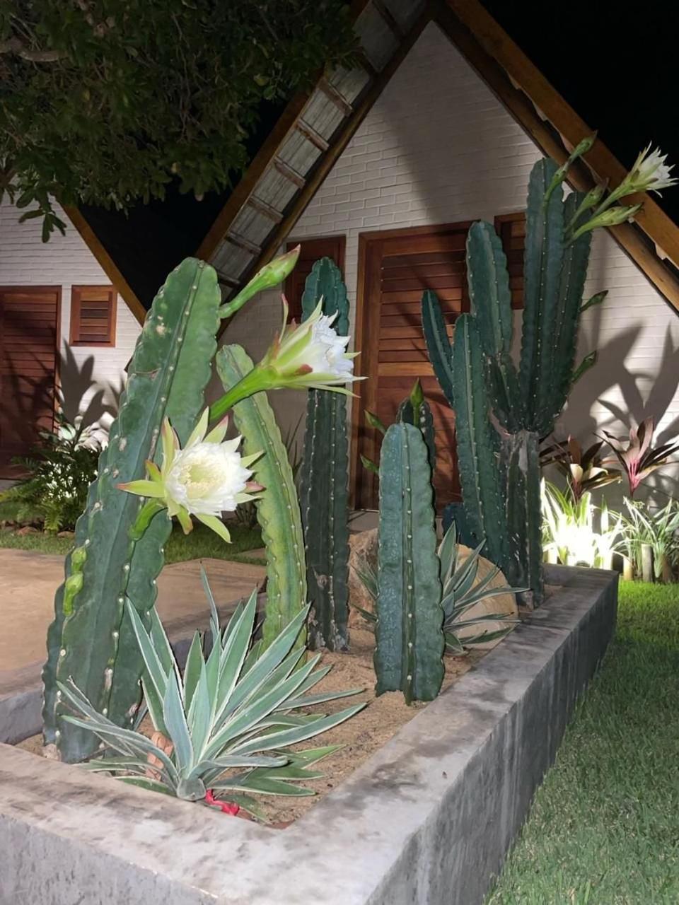 Chalet photo 3