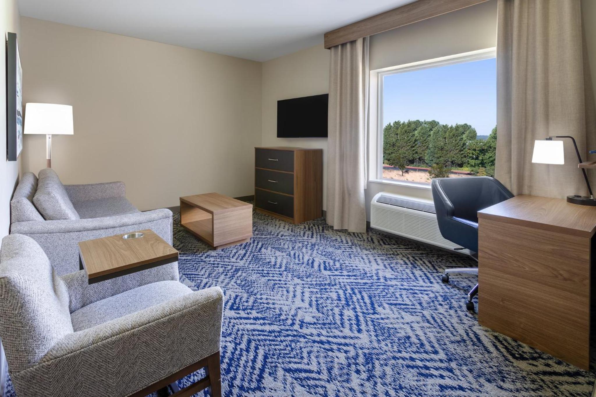 One-Bedroom Suite - Photo 4