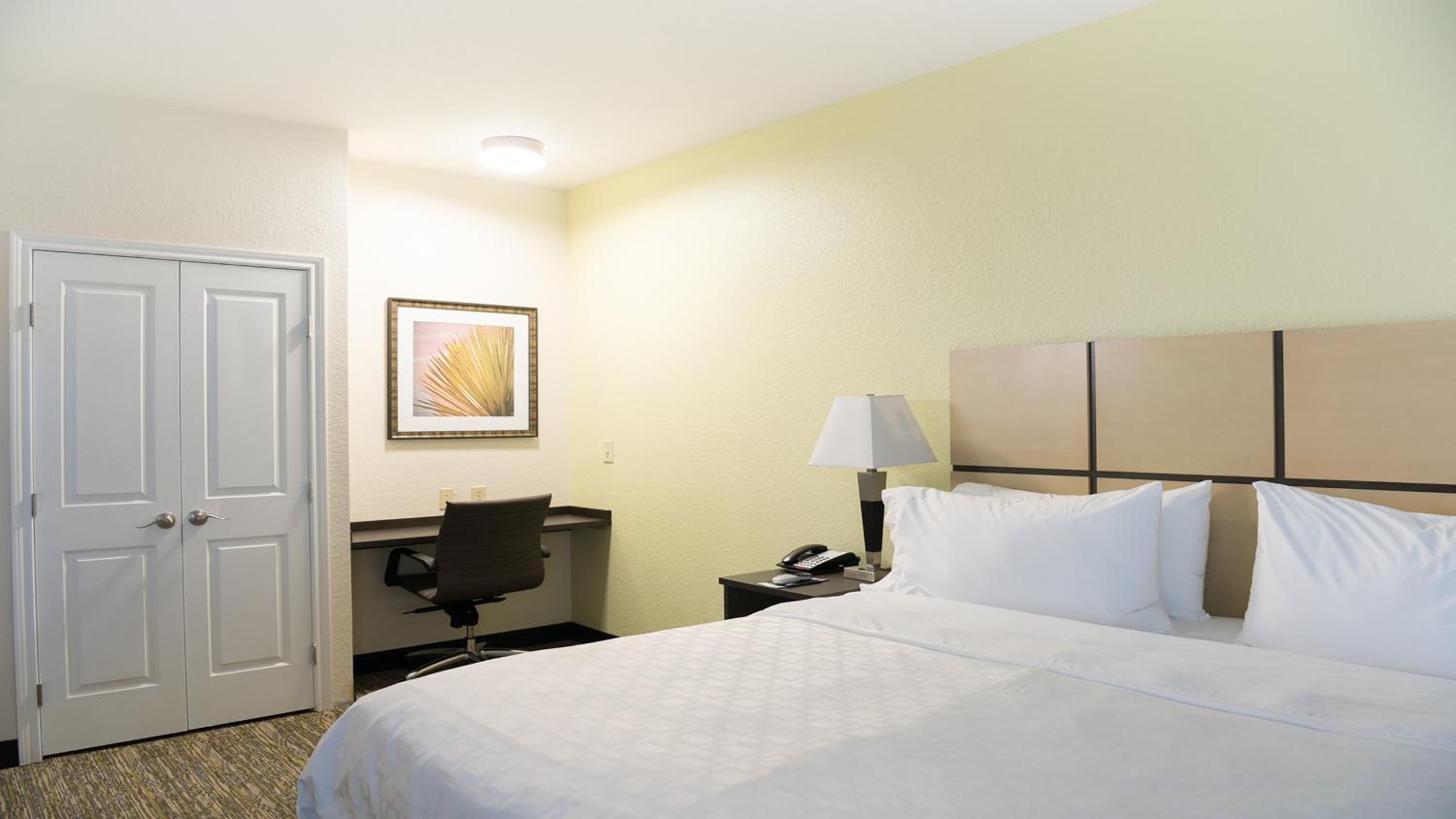 One-Bedroom Suite photo 3