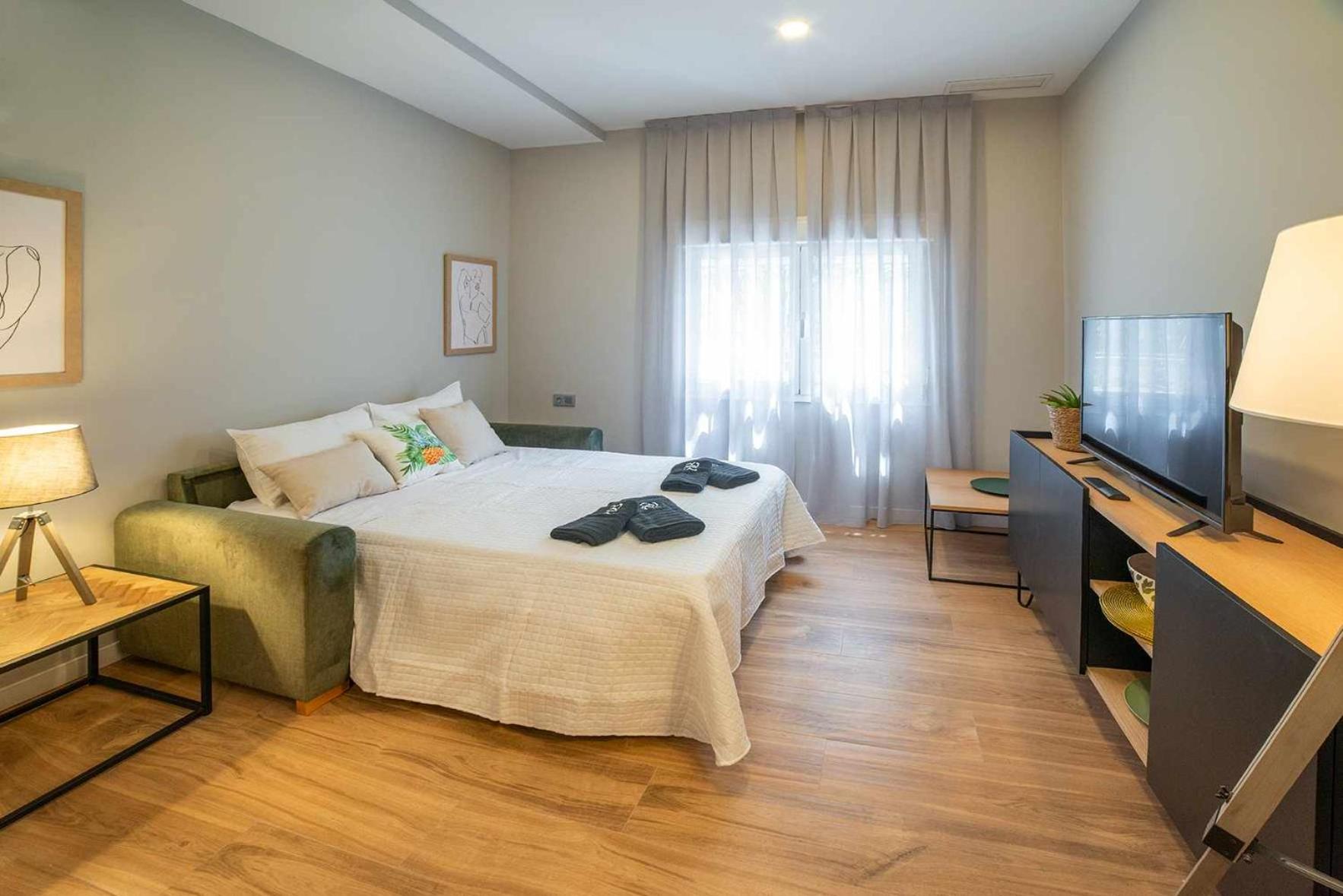 Studio Apartment photo 2