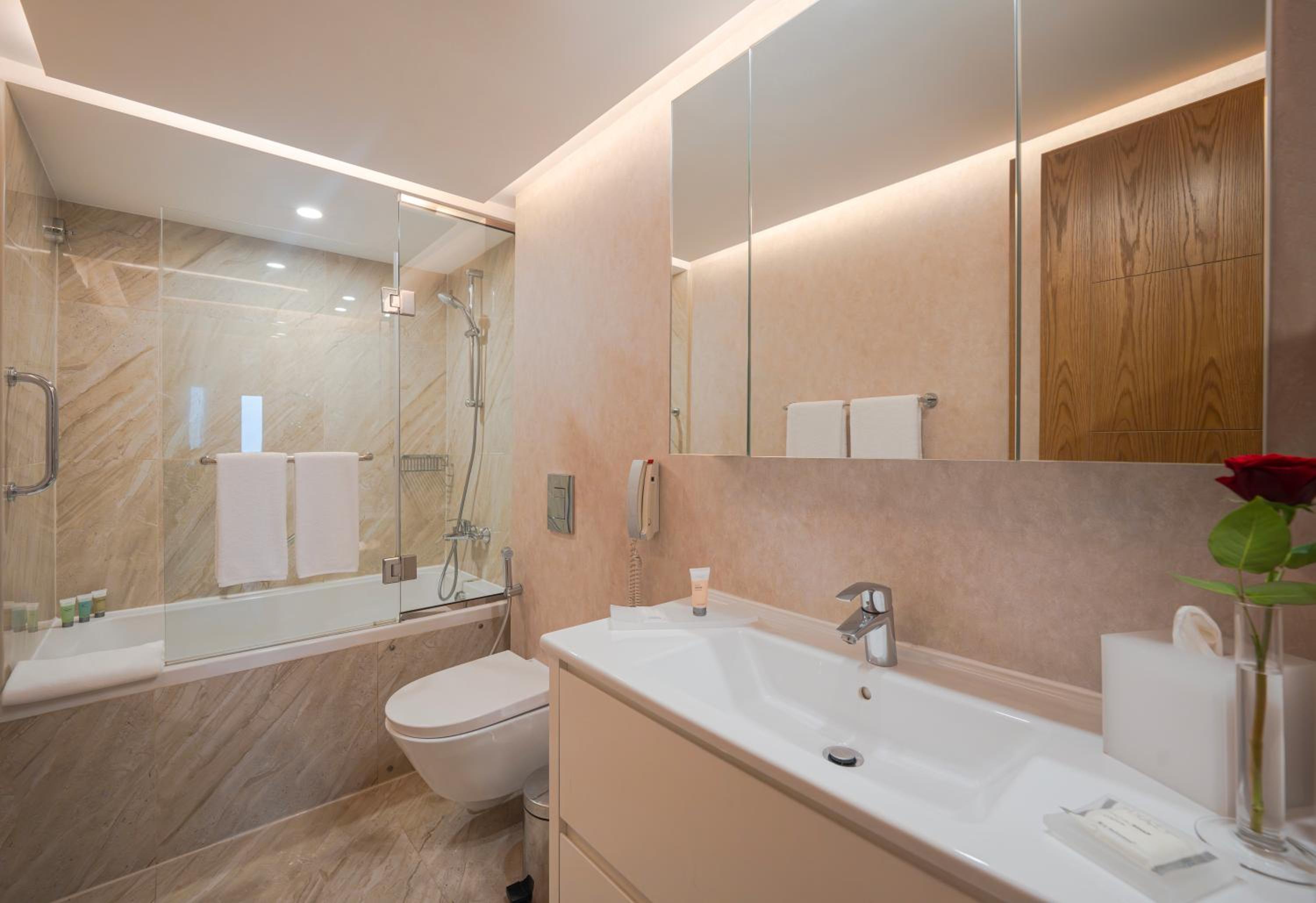 One Bedroom Apartment with Kitchen (10% discount on Spa treatments) photo 2