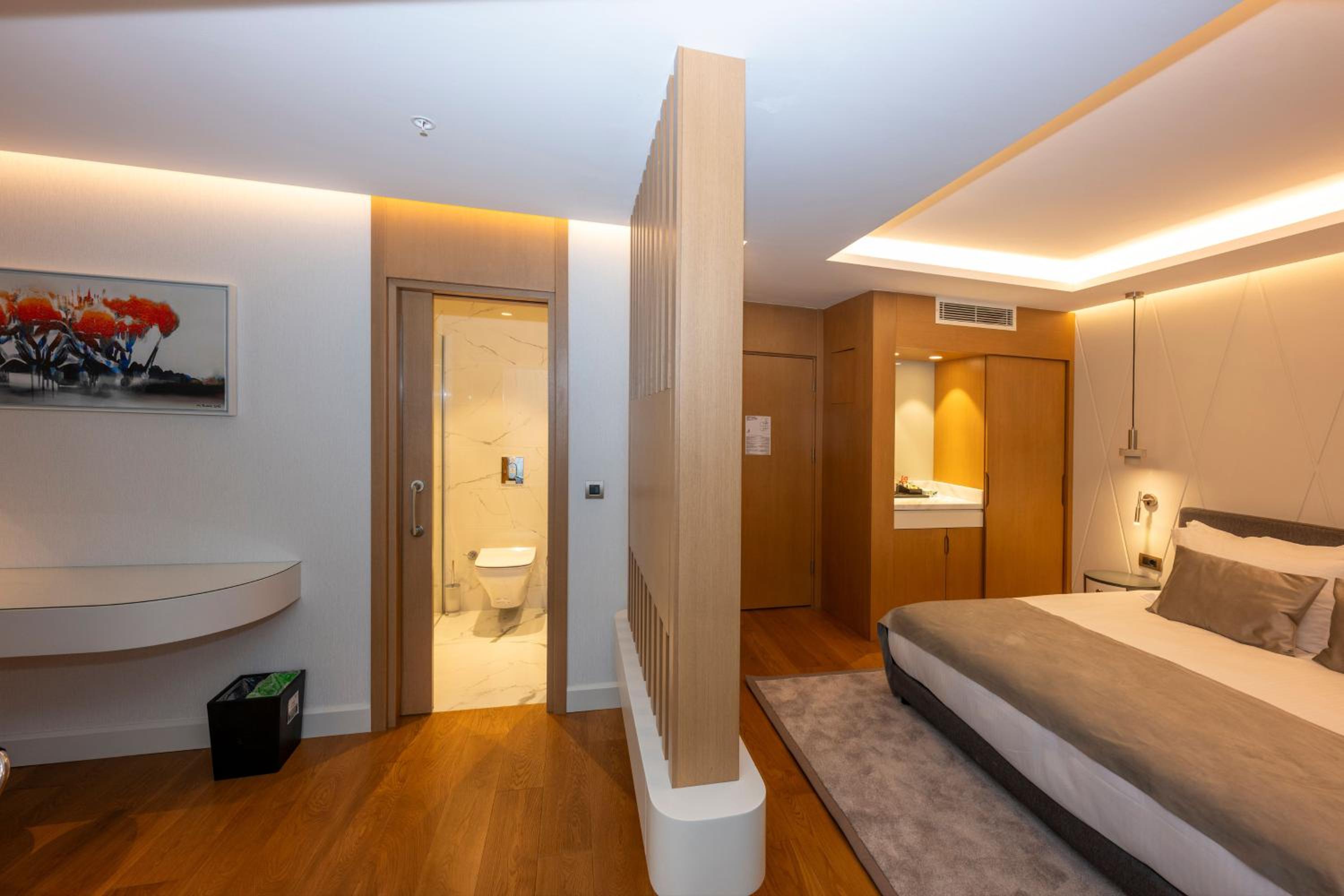 Superior King Room photo 3