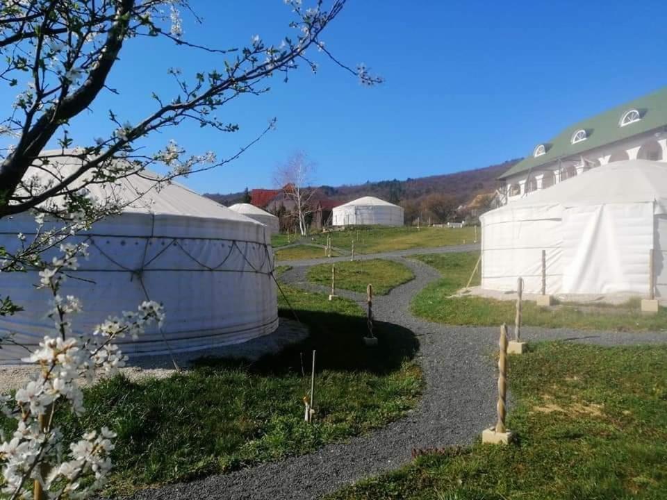 Economy Tent - Photo 3