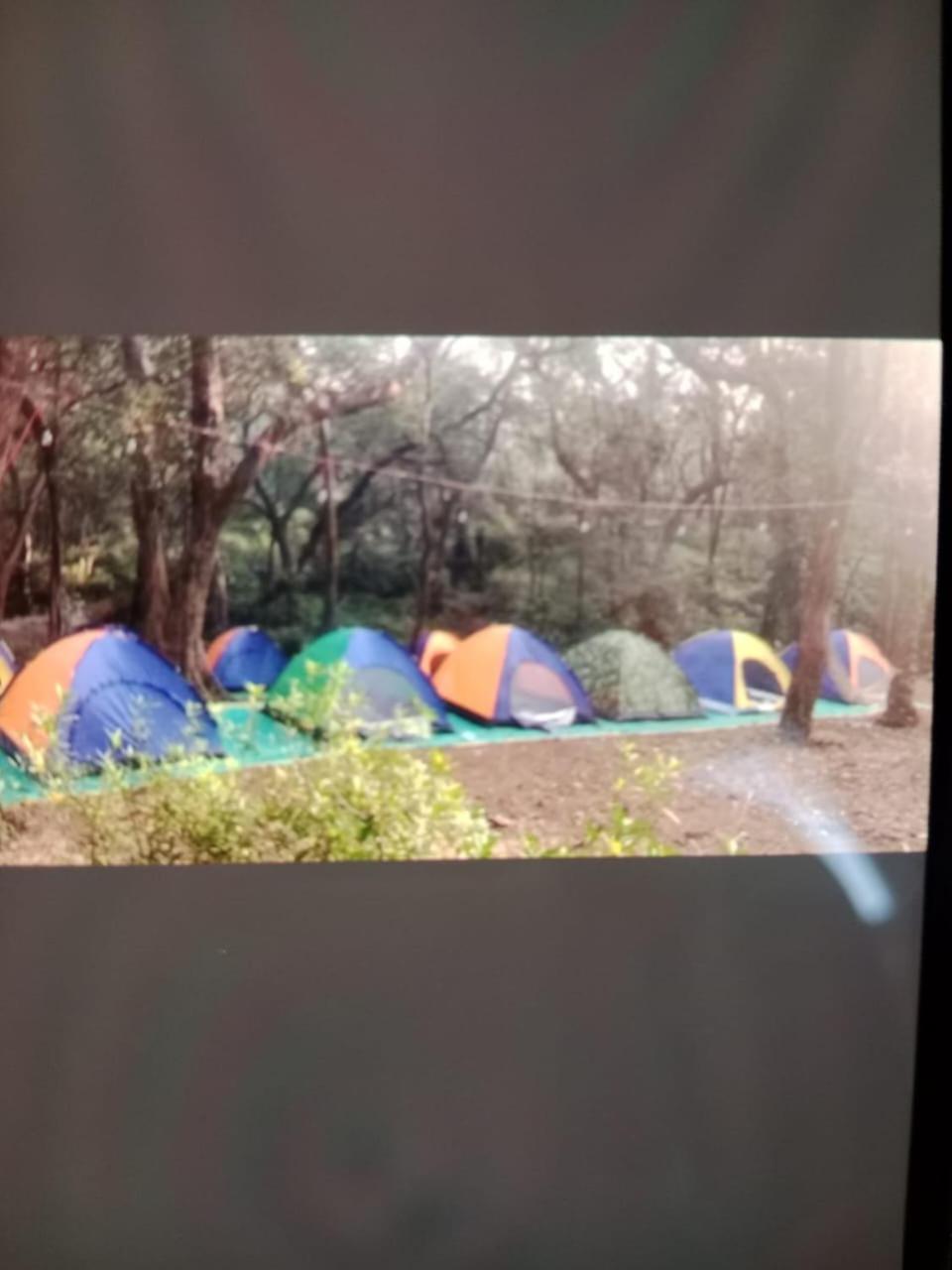 Tent photo 3