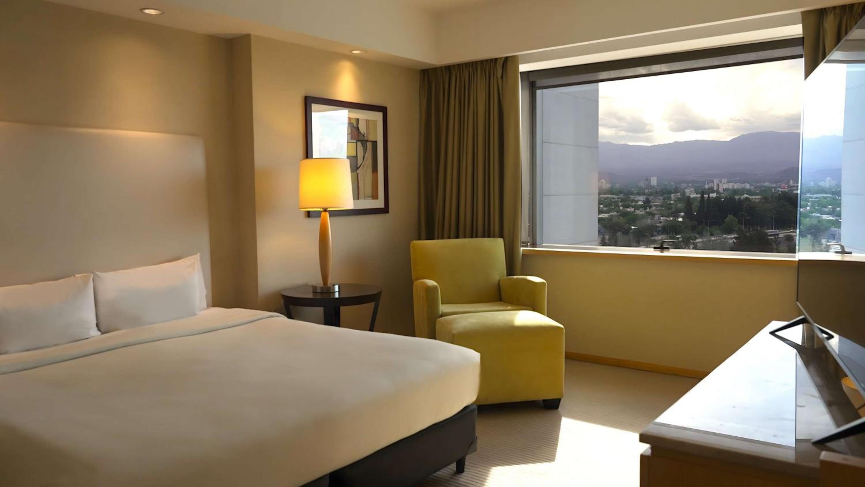 One-Bedroom King Suite