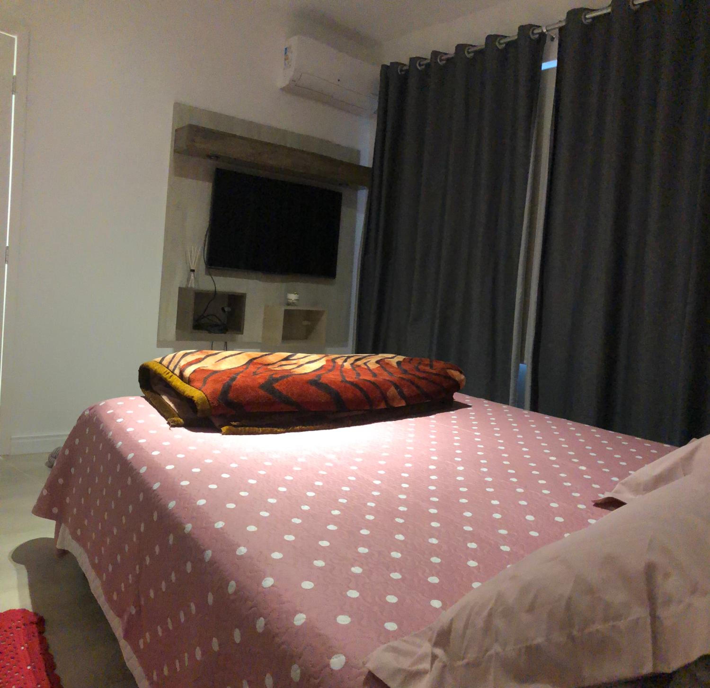 One-Bedroom Apartment photo 3