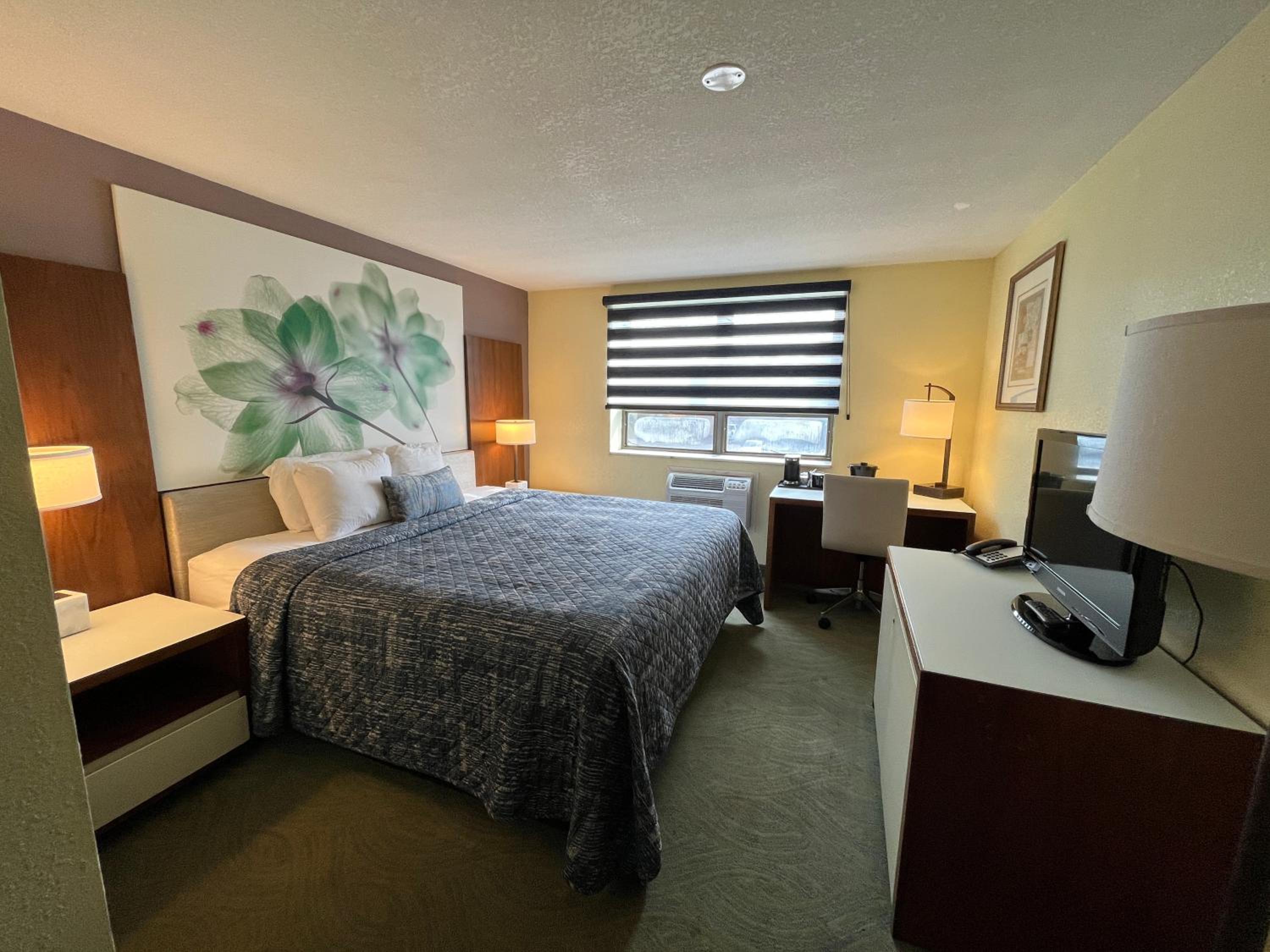 King Room - Photo 1